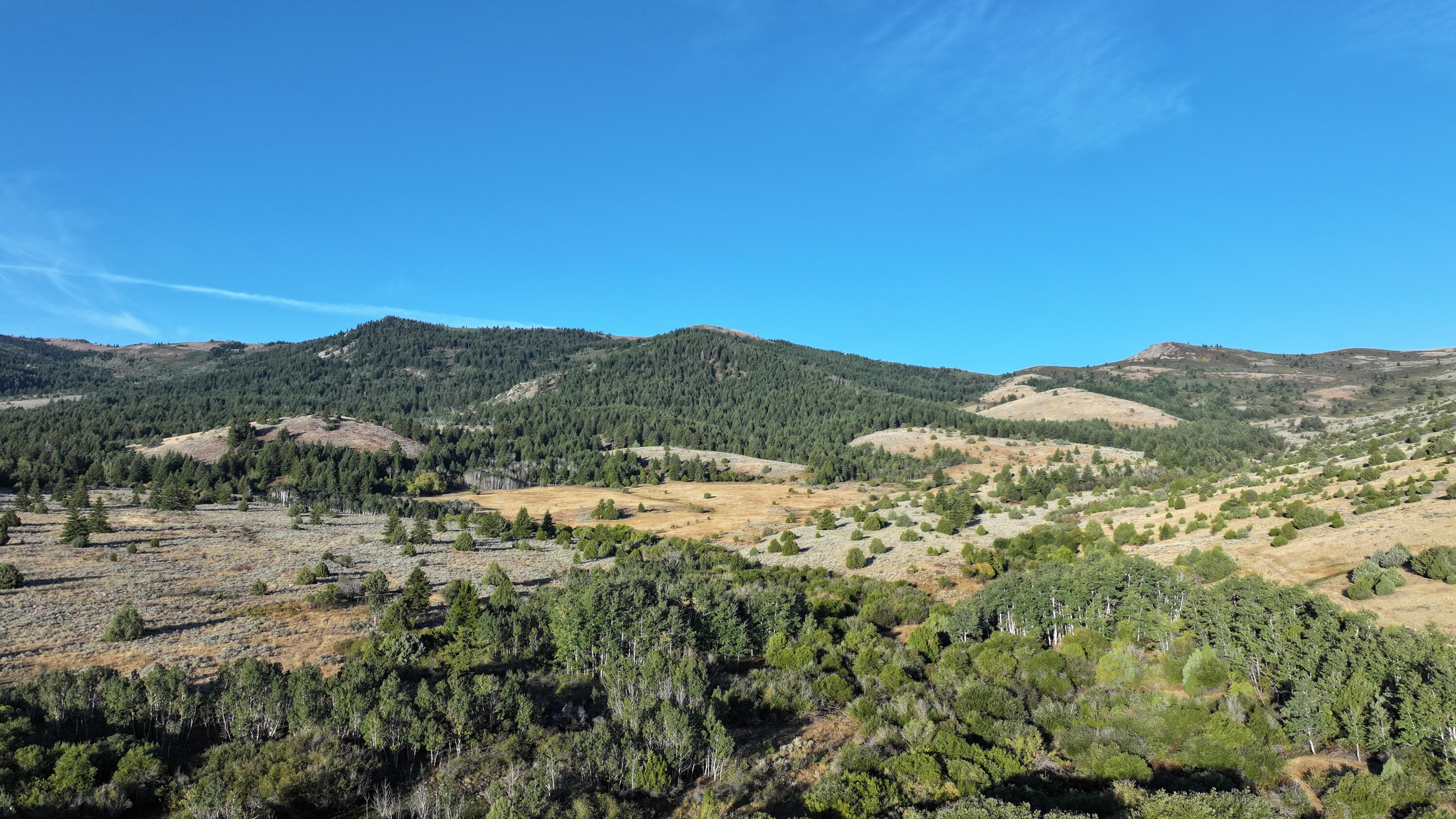 1200 S Lands Creek Rd Property Photo 39