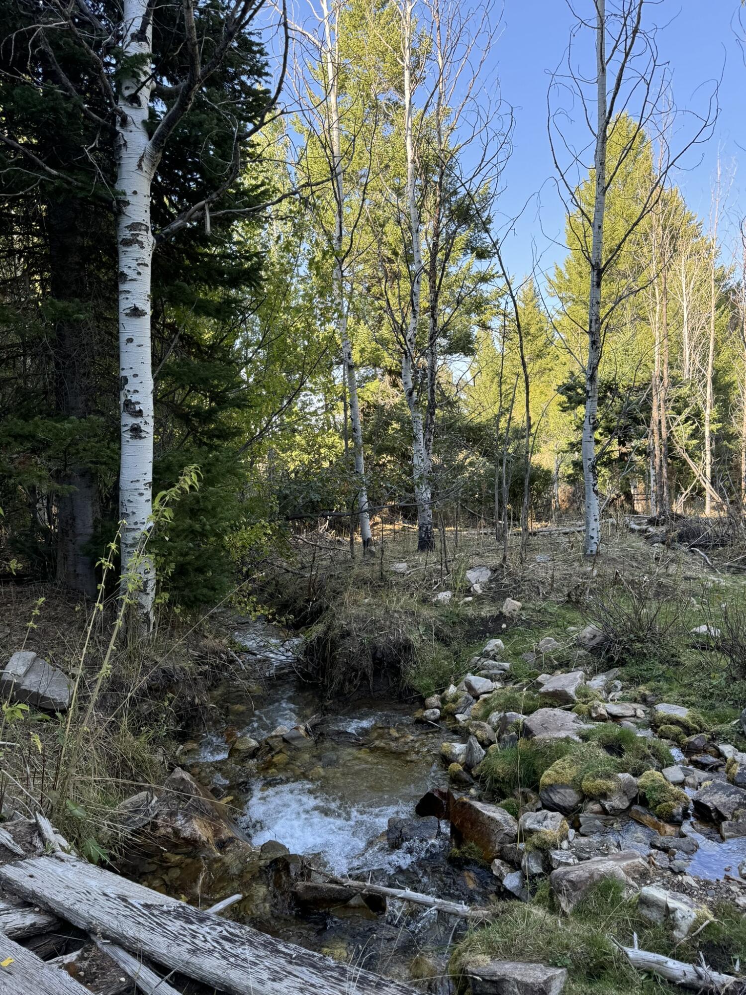 1200 S Lands Creek Rd Property Photo 42