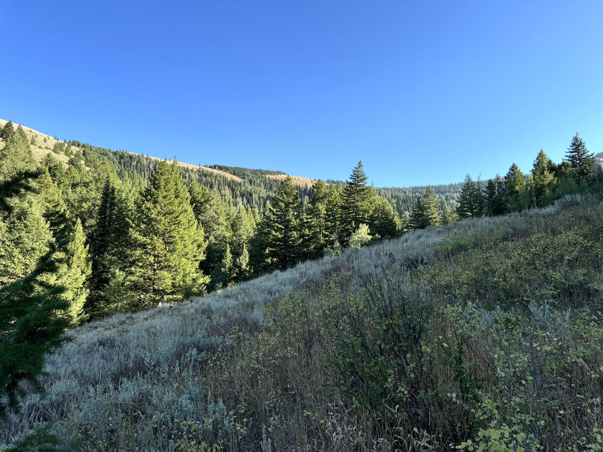 1200 S Lands Creek Rd Property Photo 43