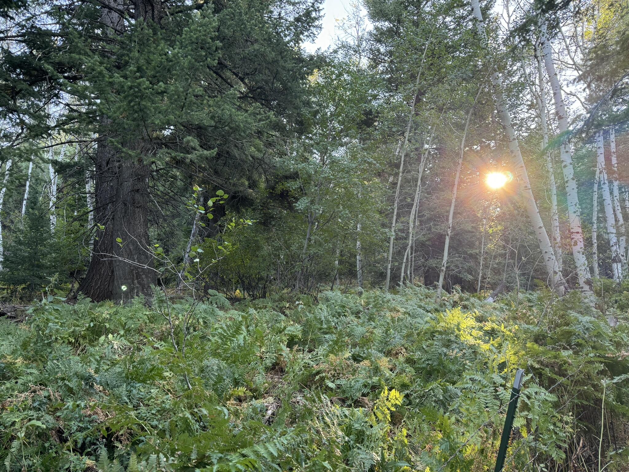 1200 S Lands Creek Rd Property Photo 44