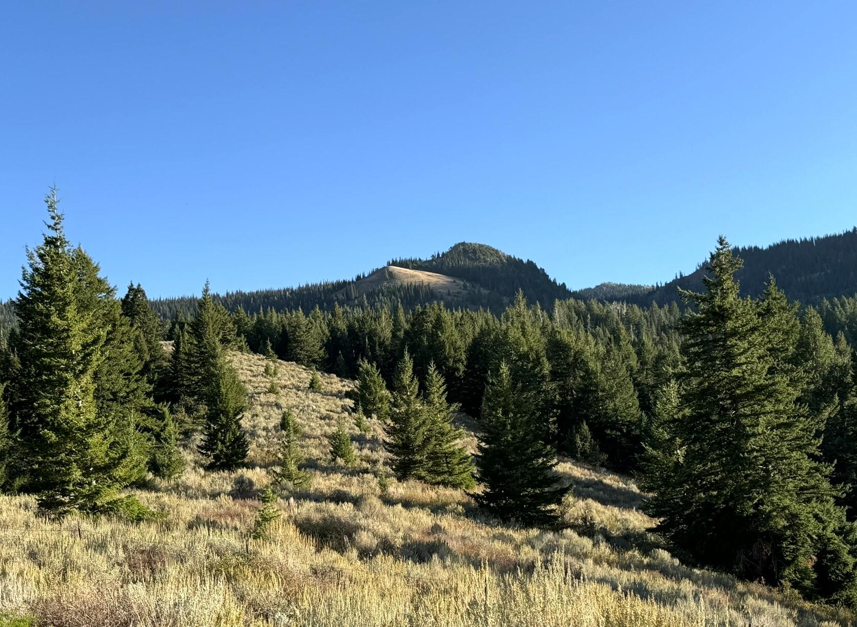 1200 S Lands Creek Rd Property Photo 45