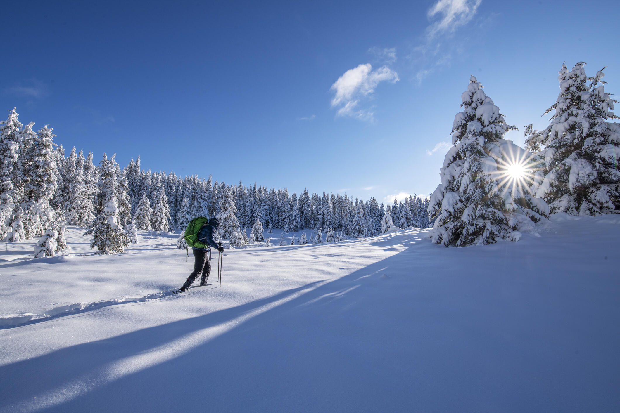 1200 S Lands Creek Rd Property Photo 48