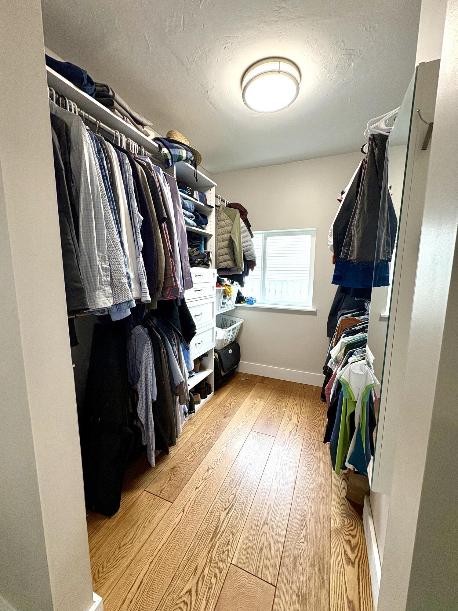 3191 Mountain Ash Dr Property Photo 14