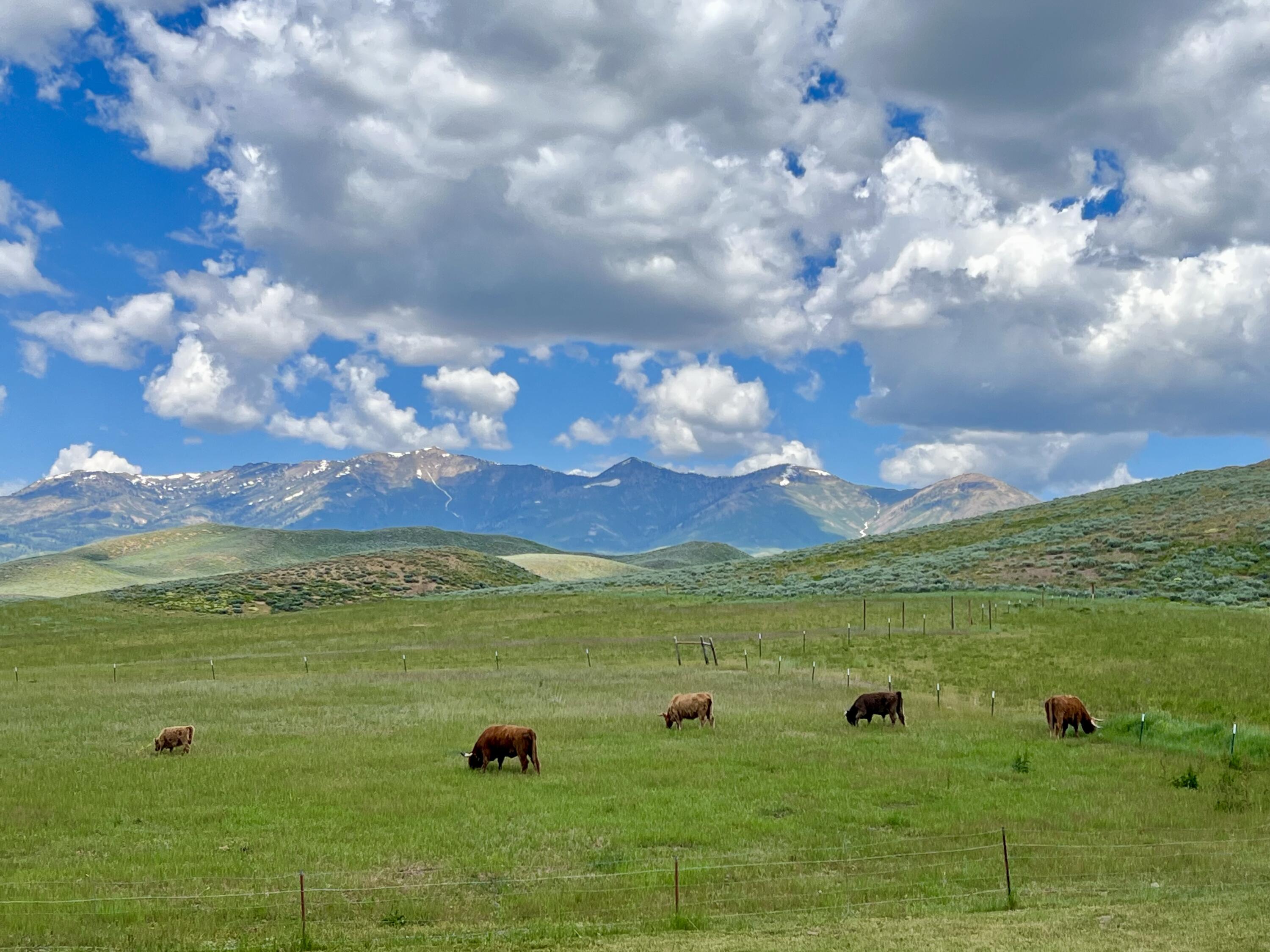 248 N 650 W Property Photo 26