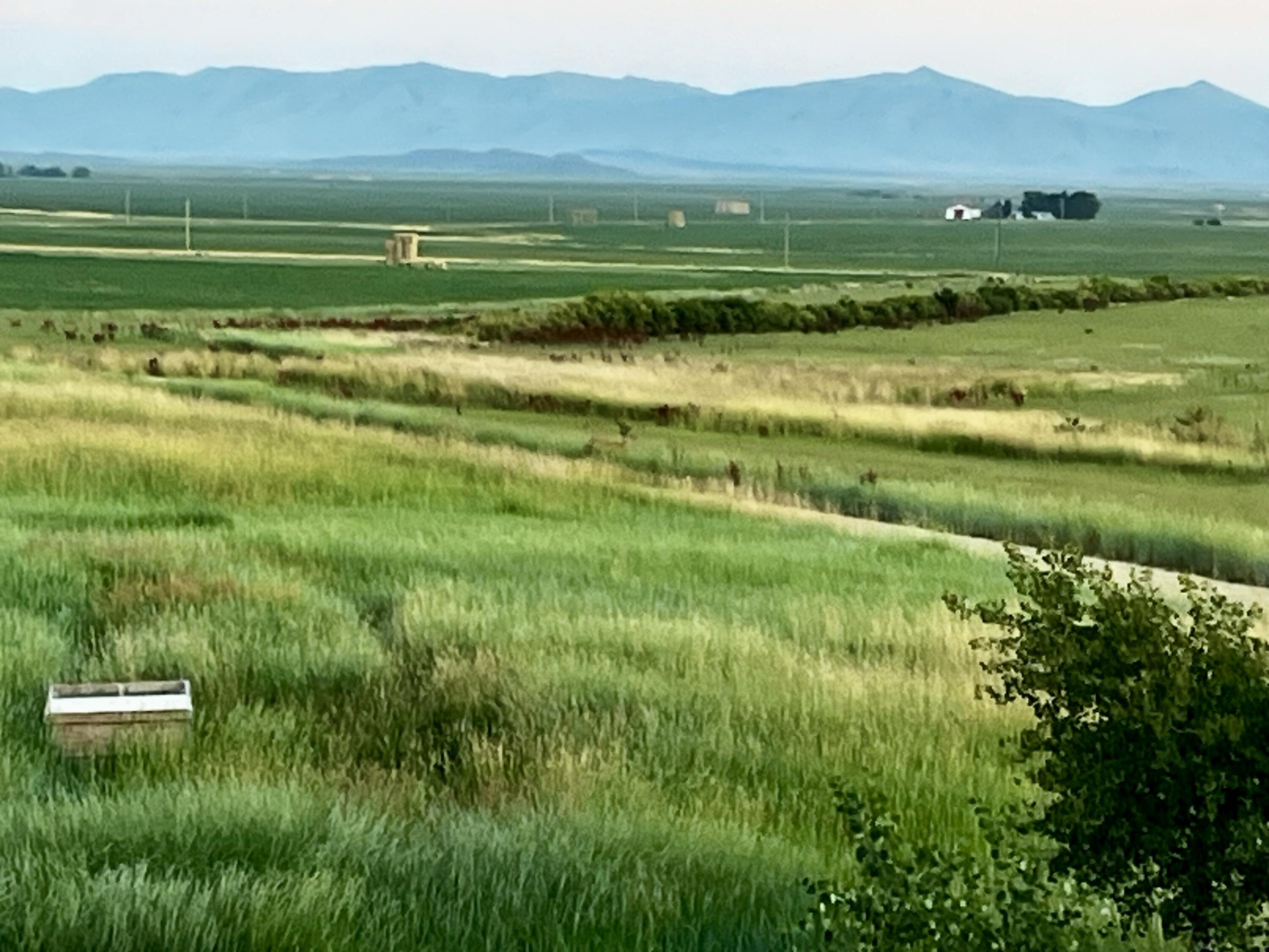 248 N 650 W Property Photo 28