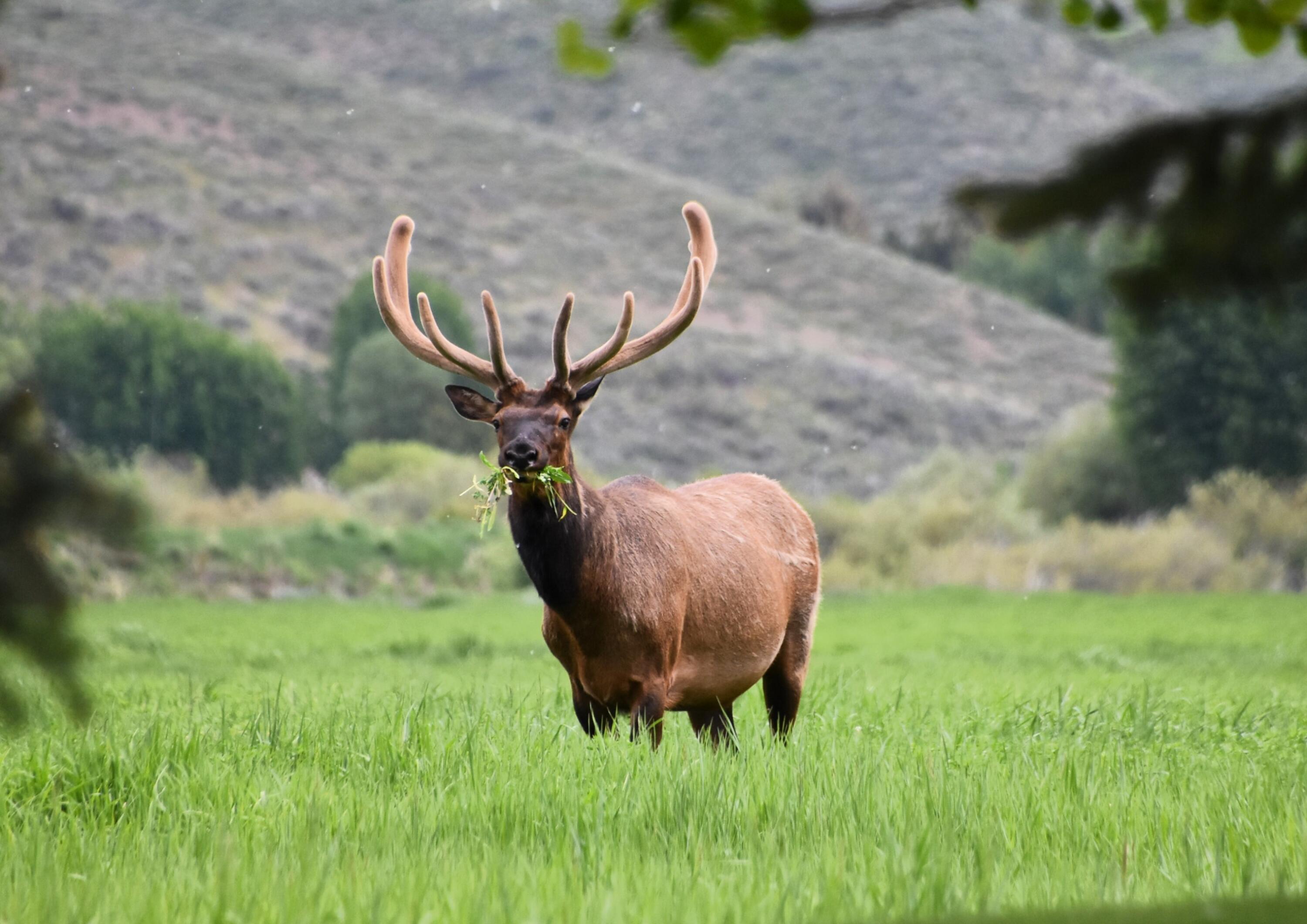 142 Indian Creek Rd Property Photo 55