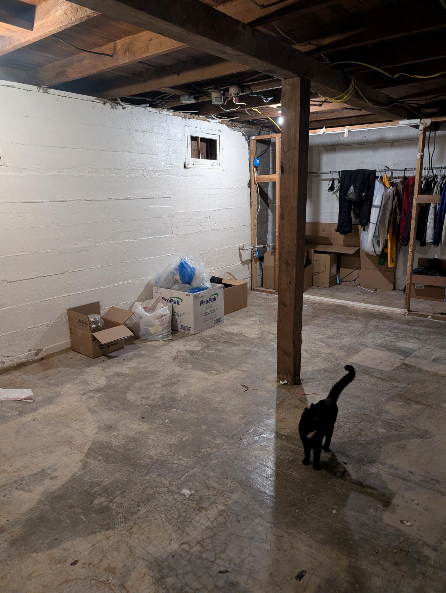 1329 N 1250 E Property Photo 16