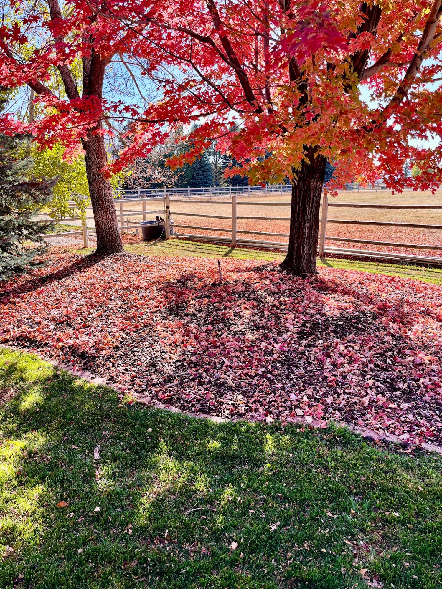 113 Equus Loop Property Photo 60