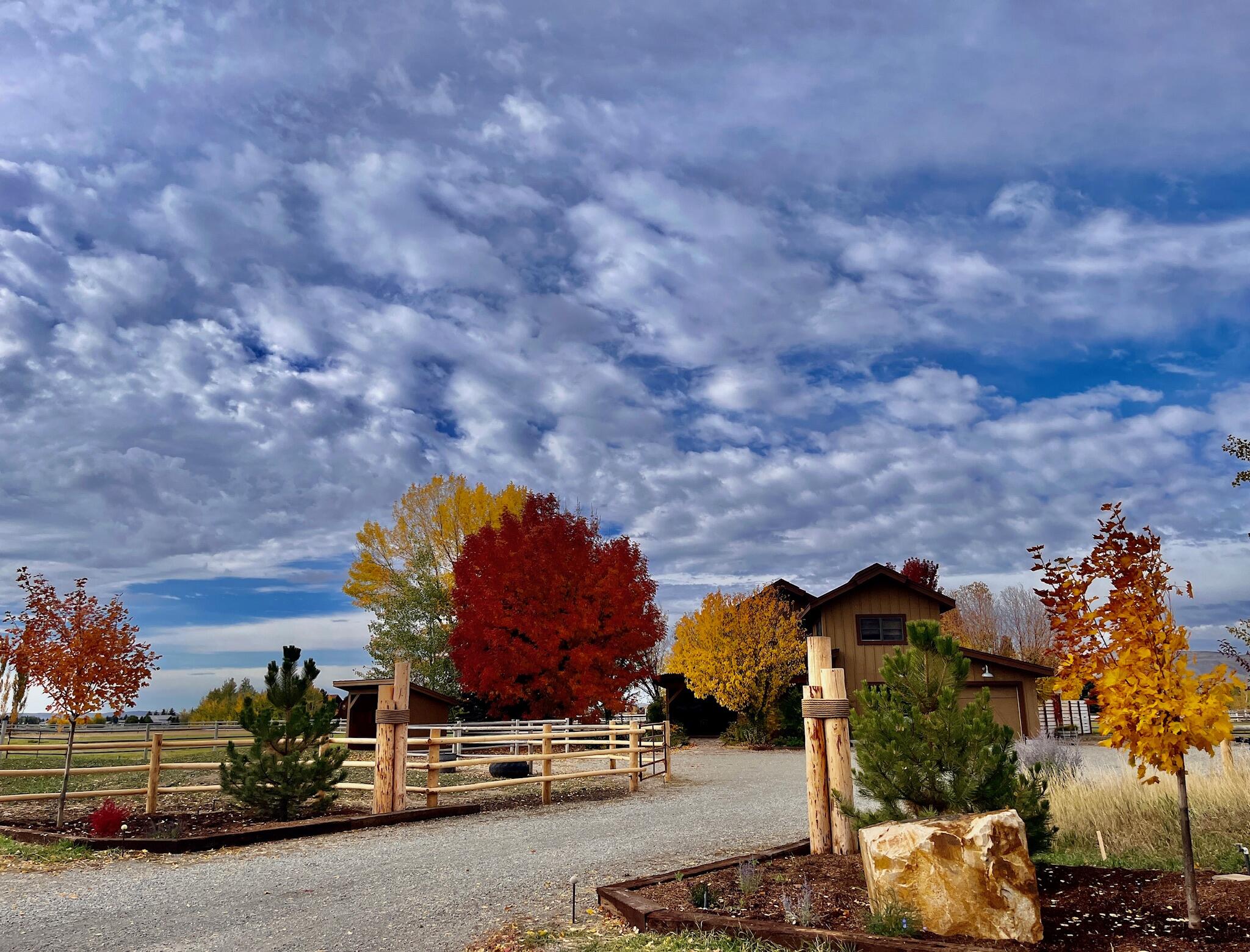 113 Equus Loop Property Photo 65