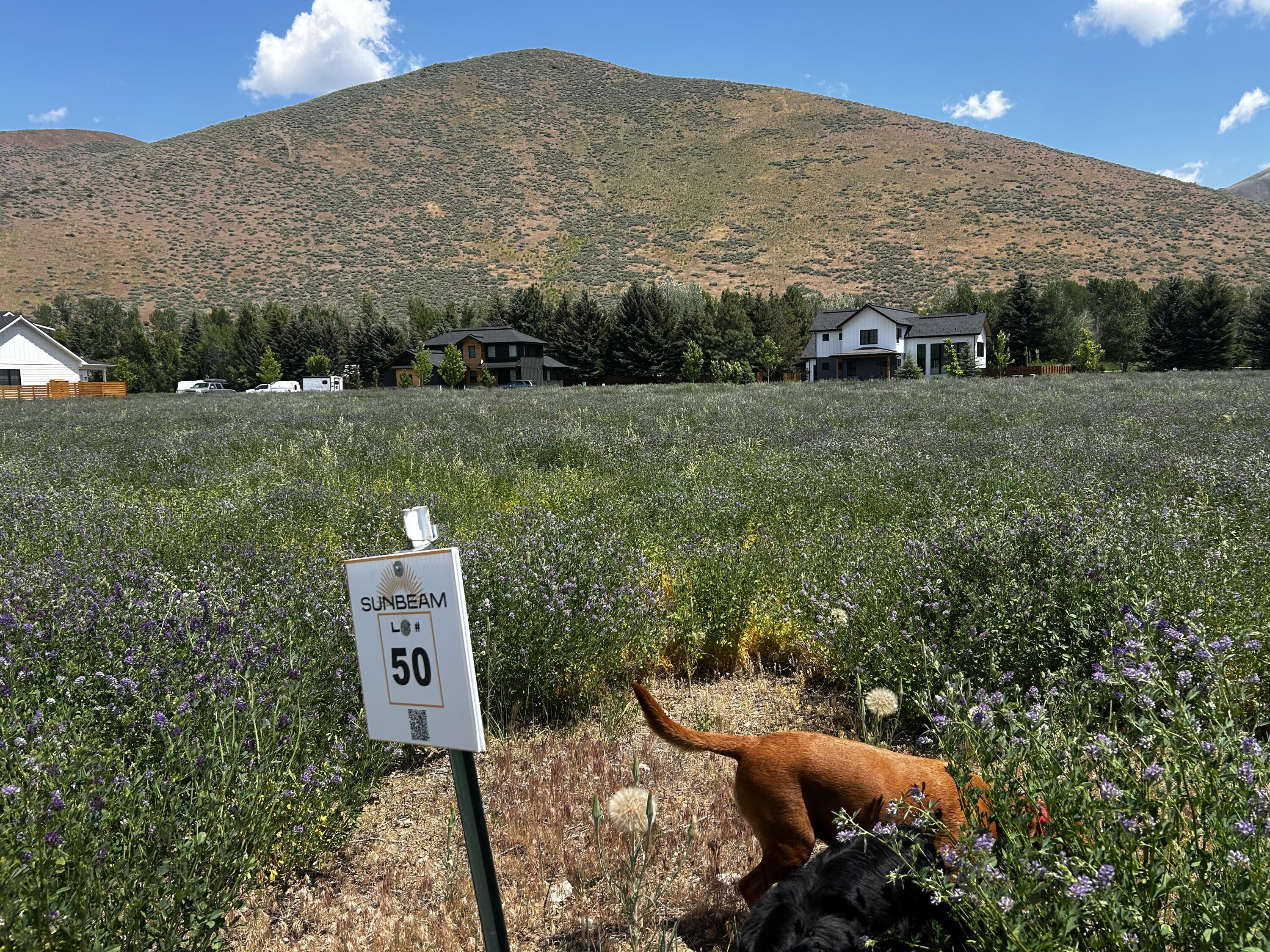 Tbd San Badger Or Eclipse Dr Property Photo 3