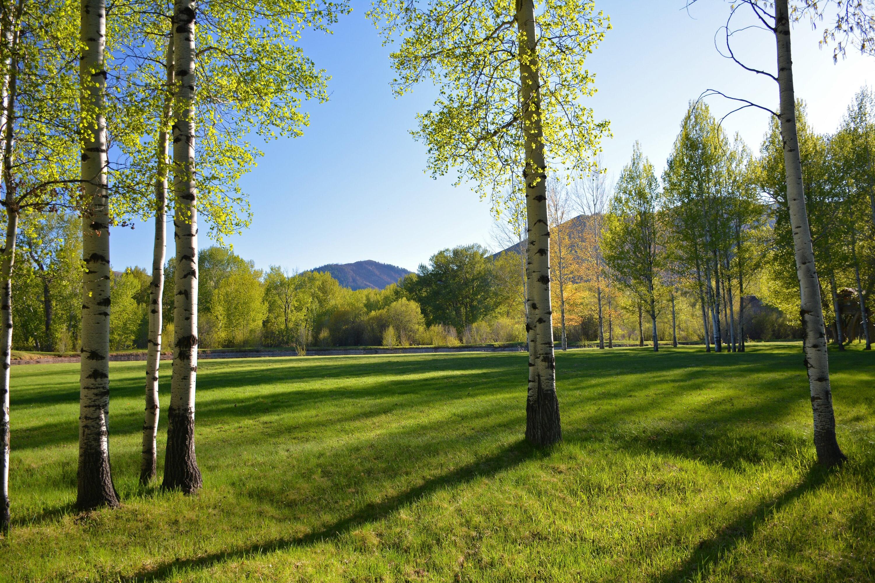 168 & 162 Wilderness Dr And Property Photo 2