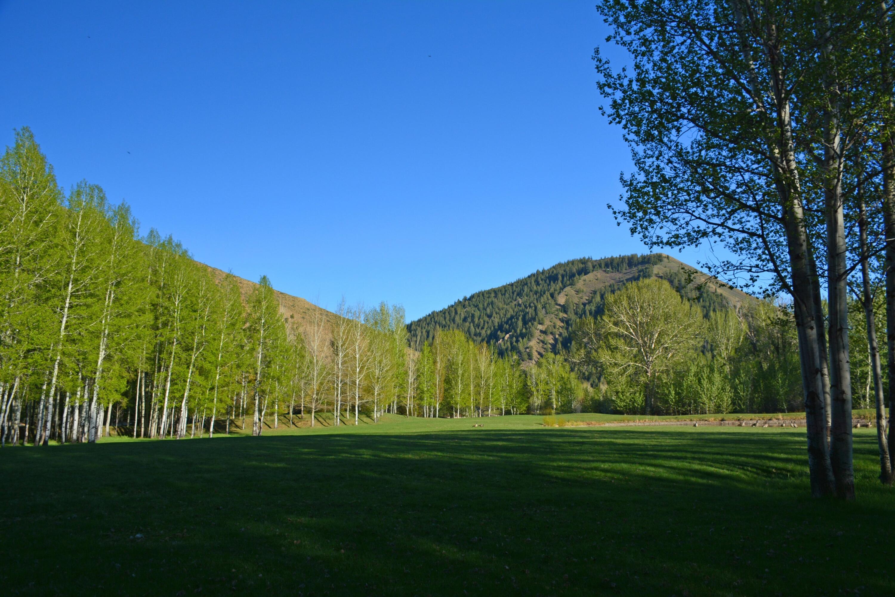 168 & 162 Wilderness Dr And Property Photo 5