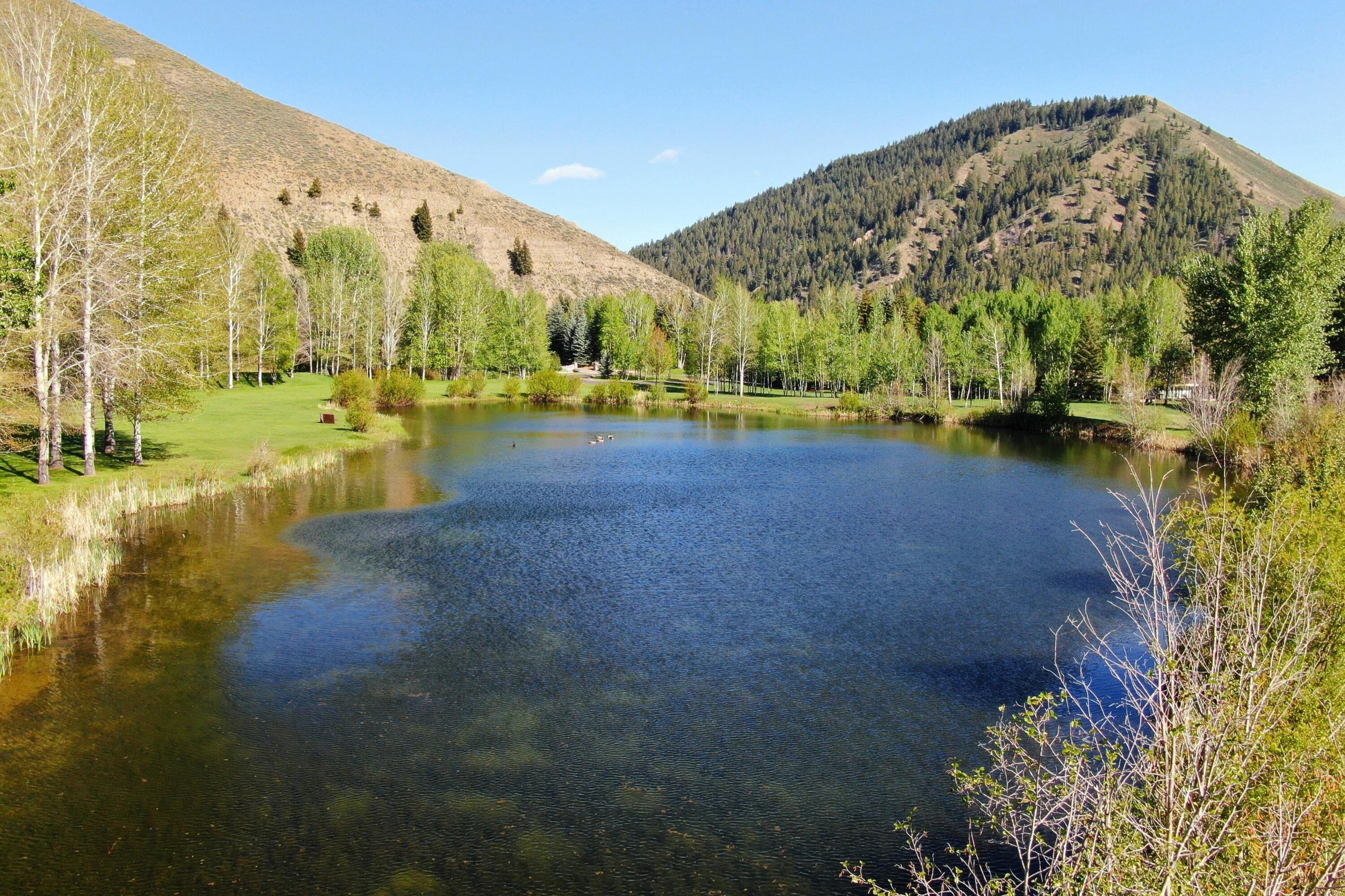 168 & 162 Wilderness Dr And Property Photo 6