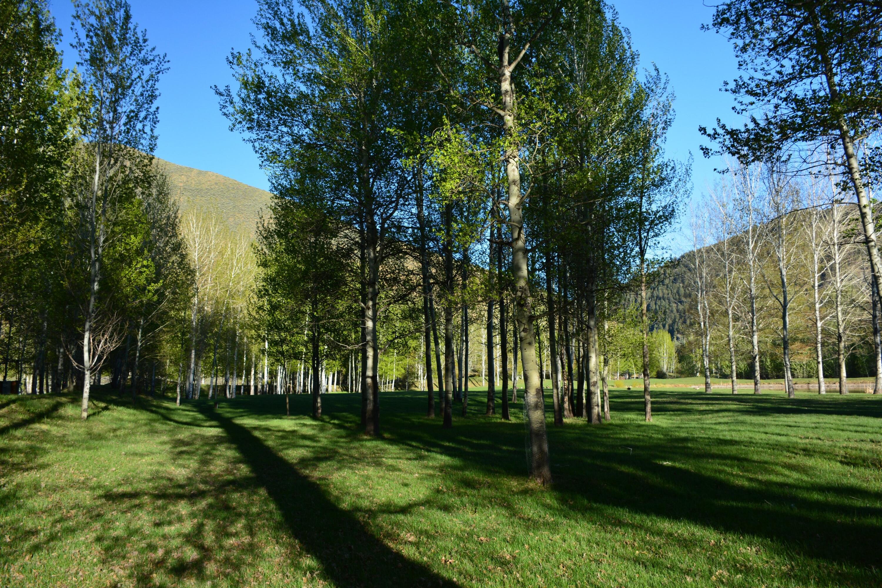 168 & 162 Wilderness Dr And Property Photo 8