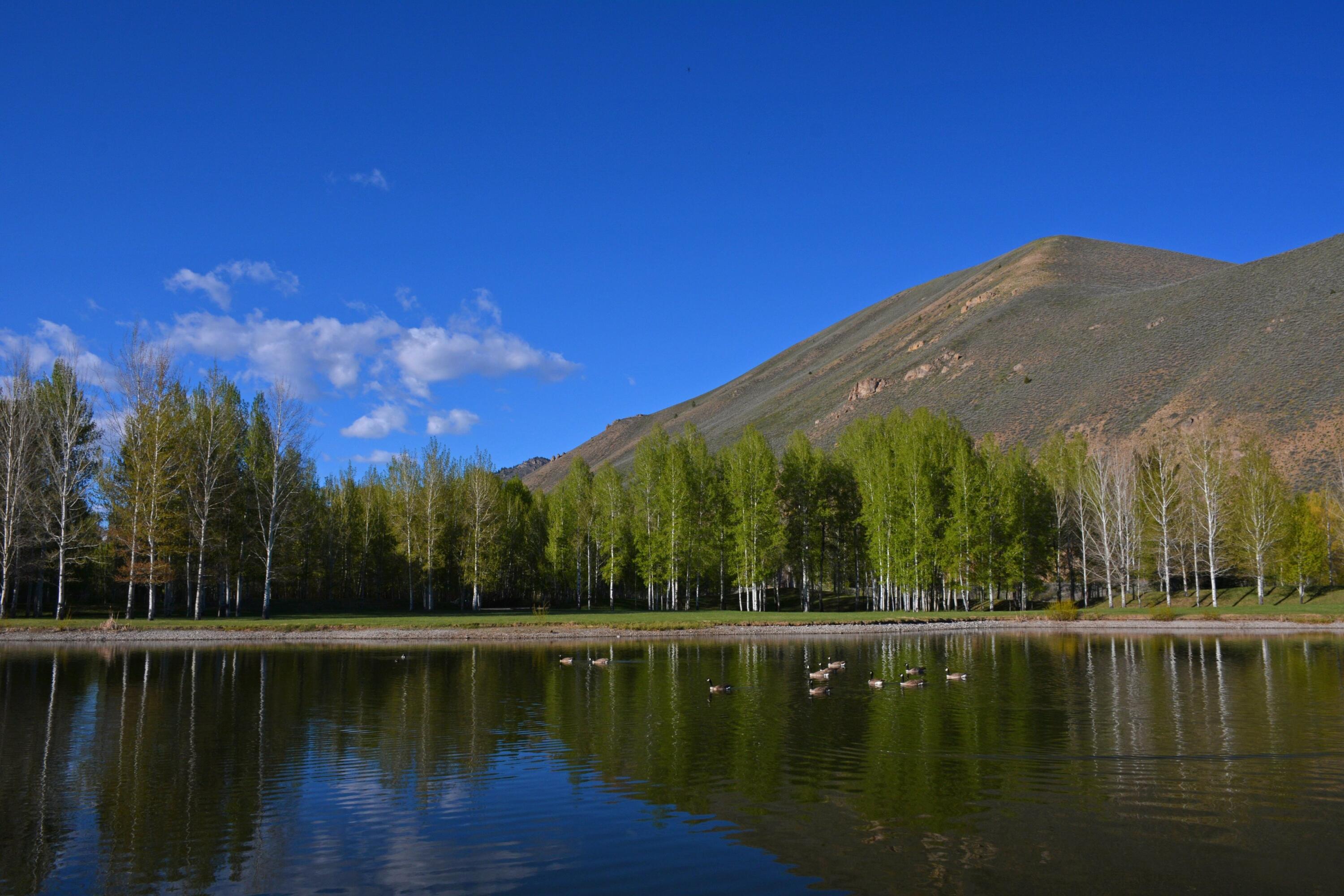 168 & 162 Wilderness Dr And Property Photo 10