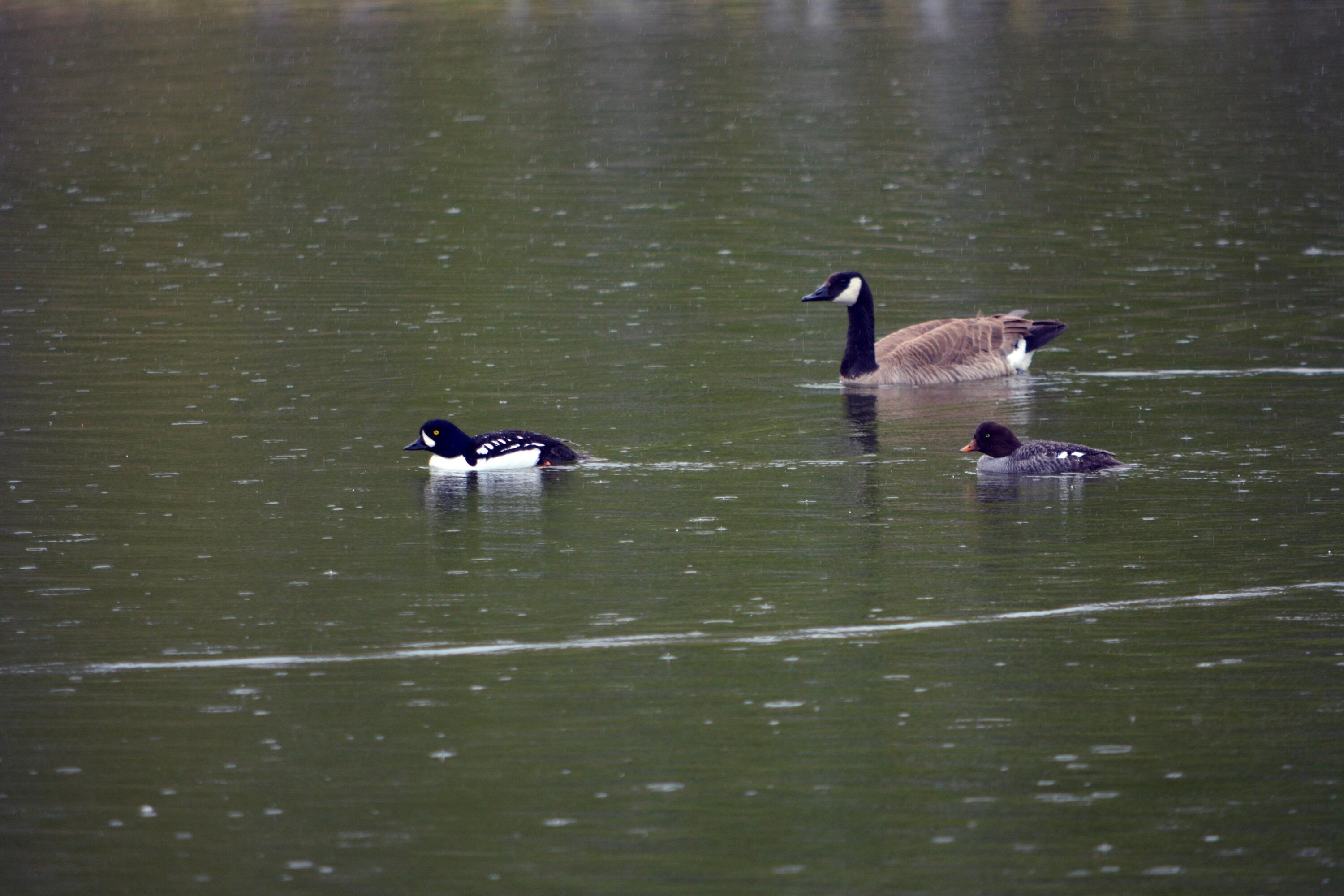 168 & 162 Wilderness Dr And Property Photo 11