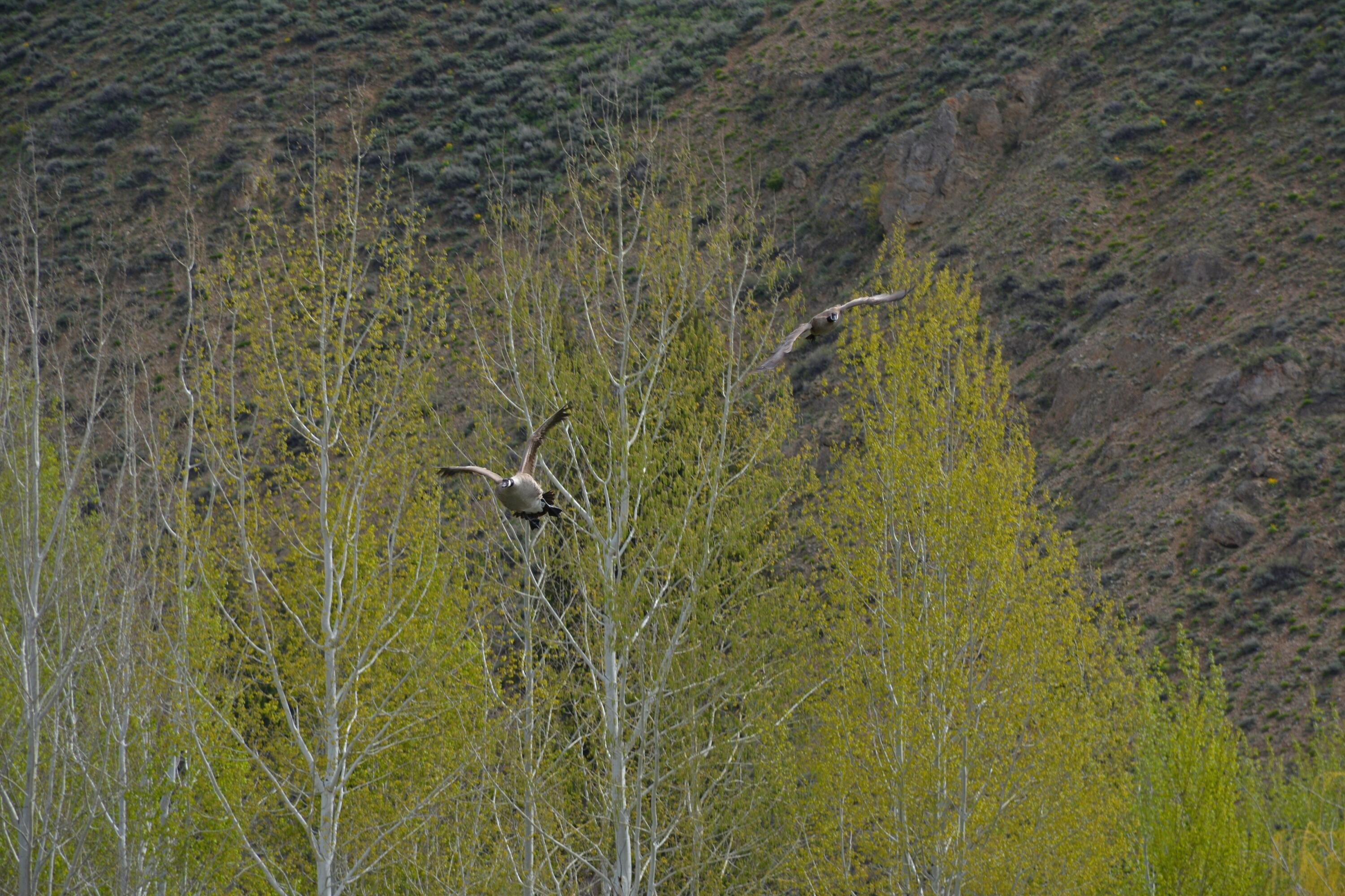 168 & 162 Wilderness Dr And Property Photo 12