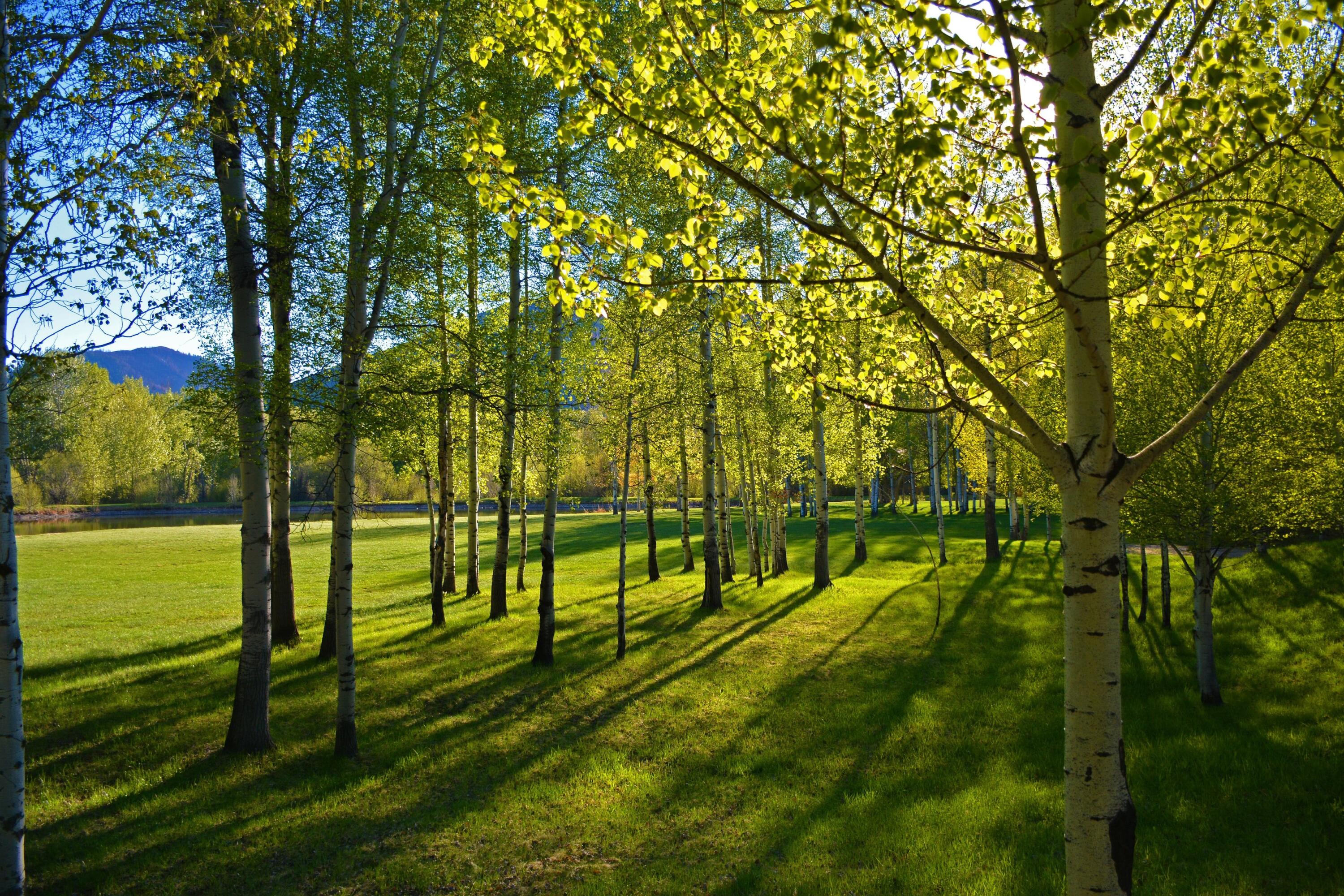 168 & 162 Wilderness Dr And Property Photo 15