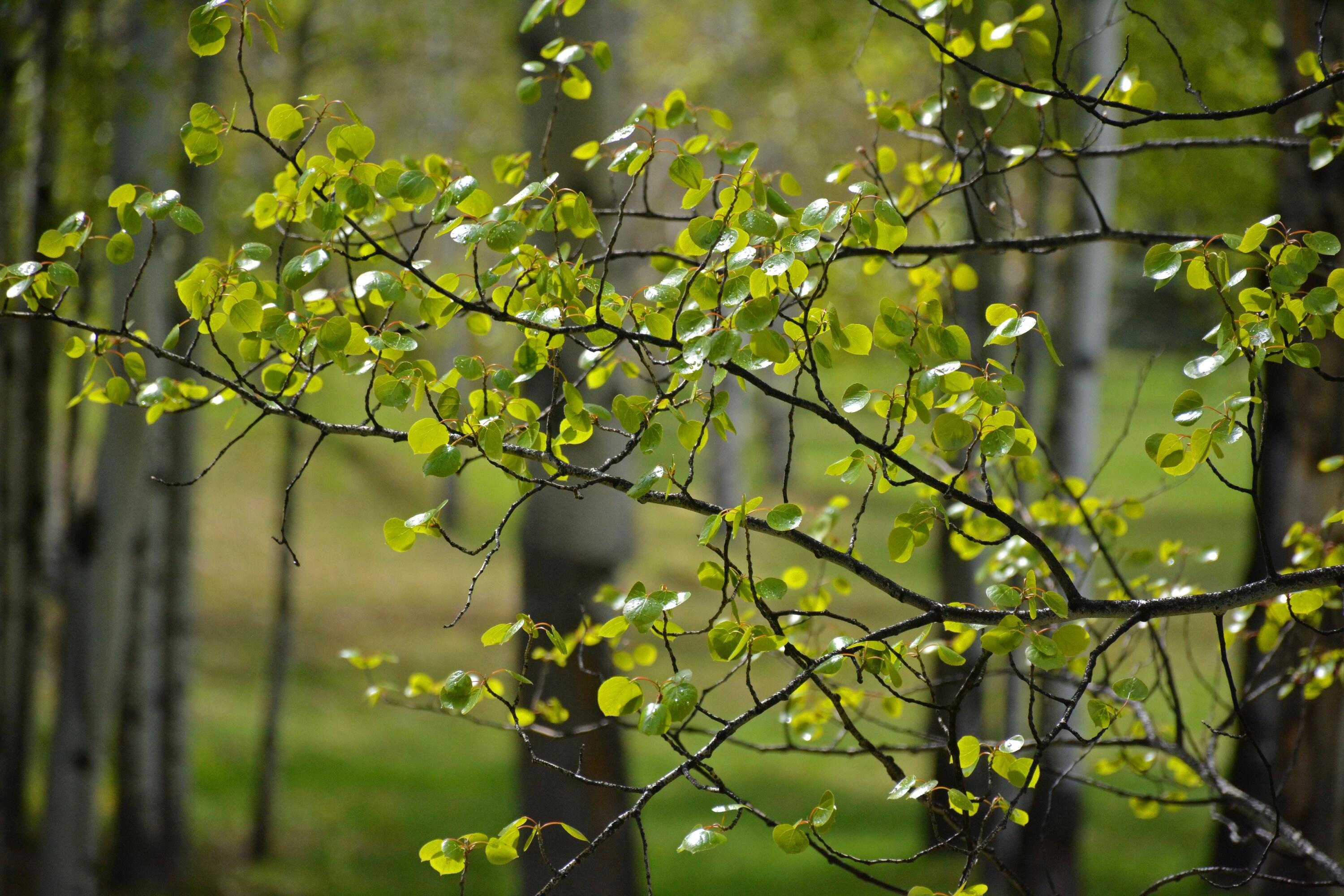 168 & 162 Wilderness Dr And Property Photo 16