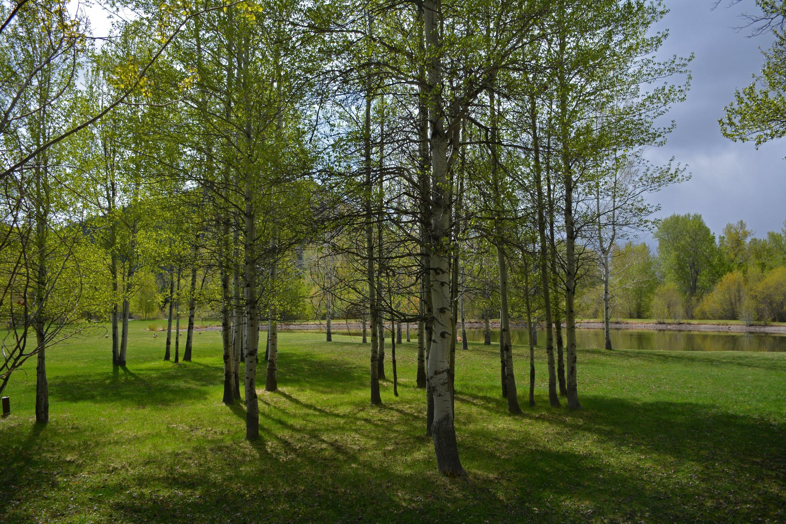 168 & 162 Wilderness Dr And Property Photo 17