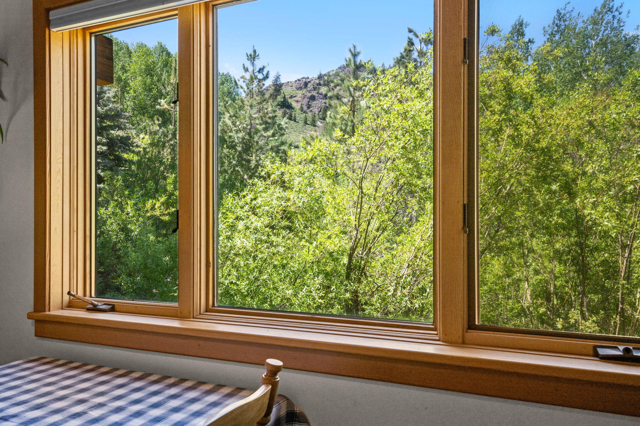 233 Eagle Creek Loop Property Photo 14
