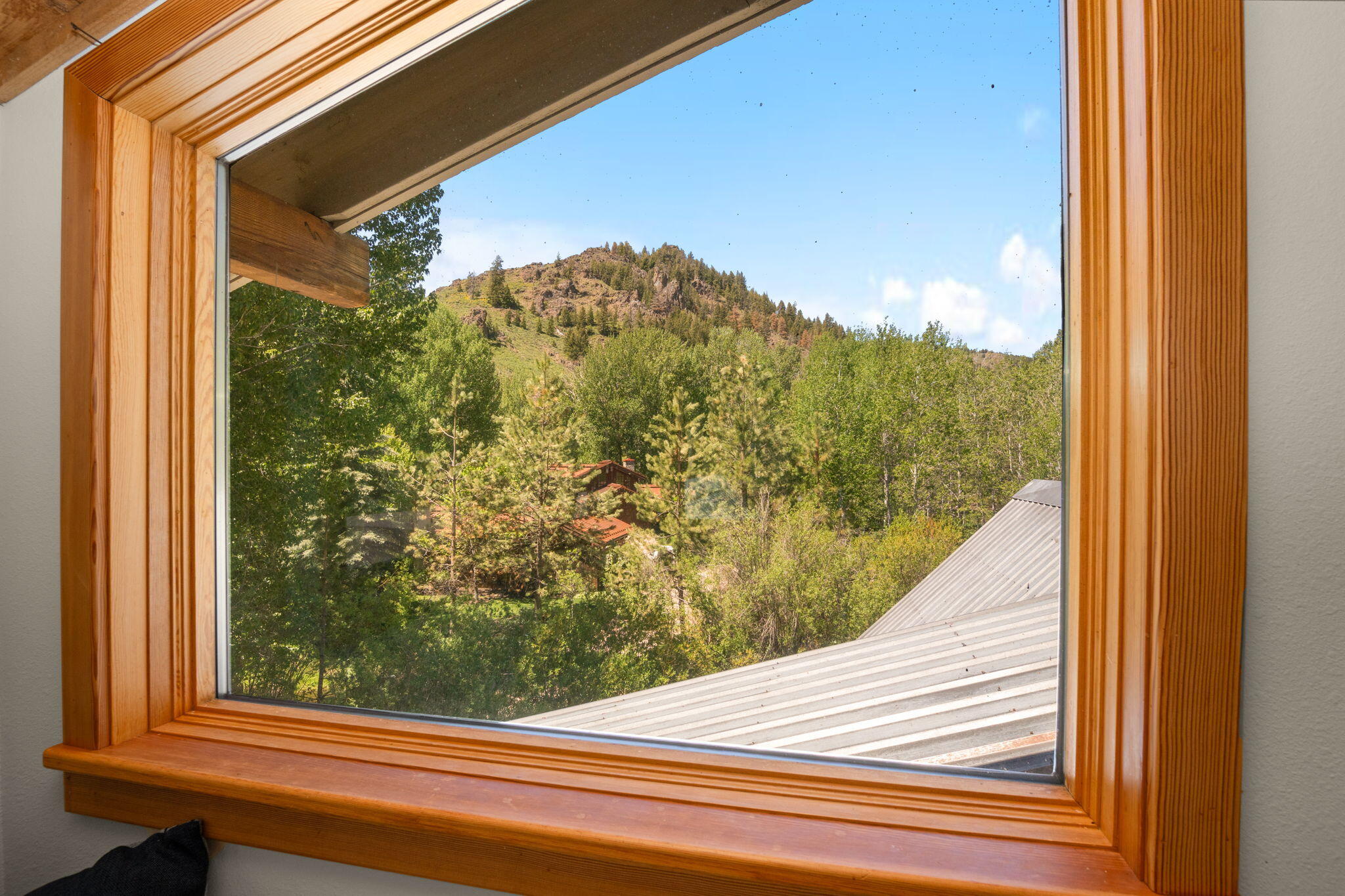 233 Eagle Creek Loop Property Photo 21