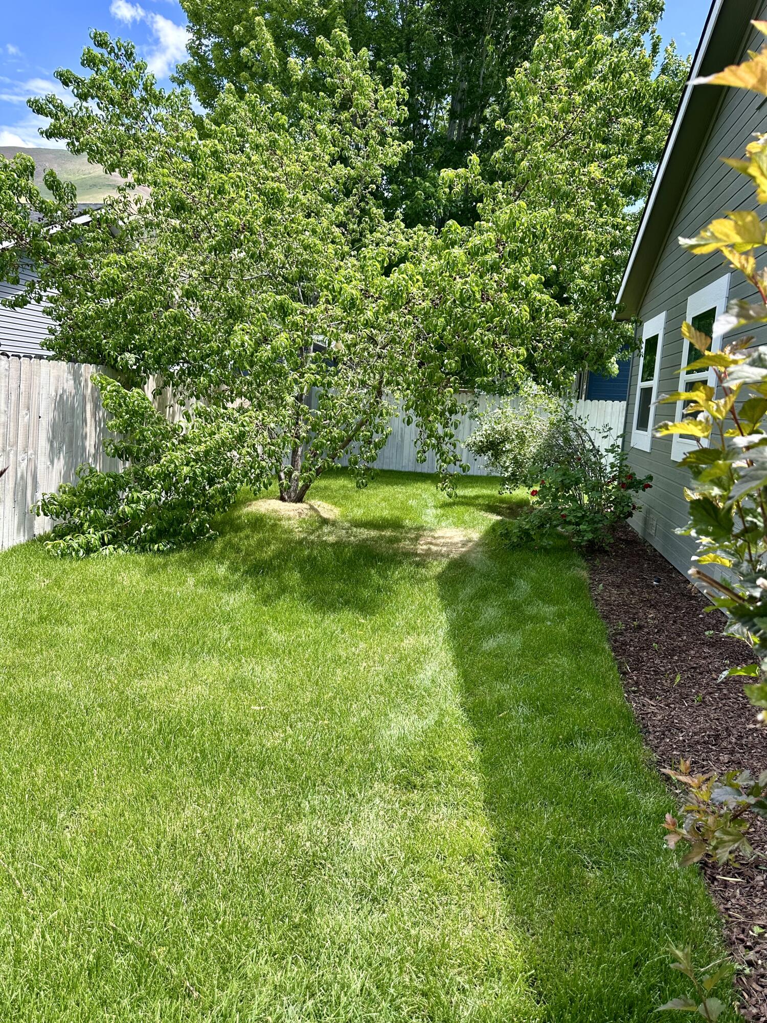 921 Snowflake Dr Property Photo 30