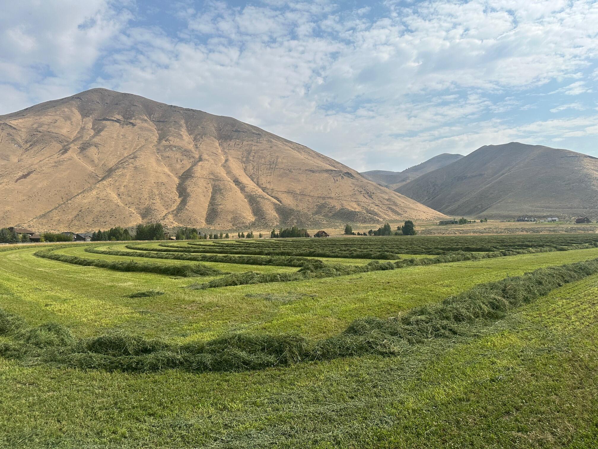 400 Malcolm Lane Property Photo 12