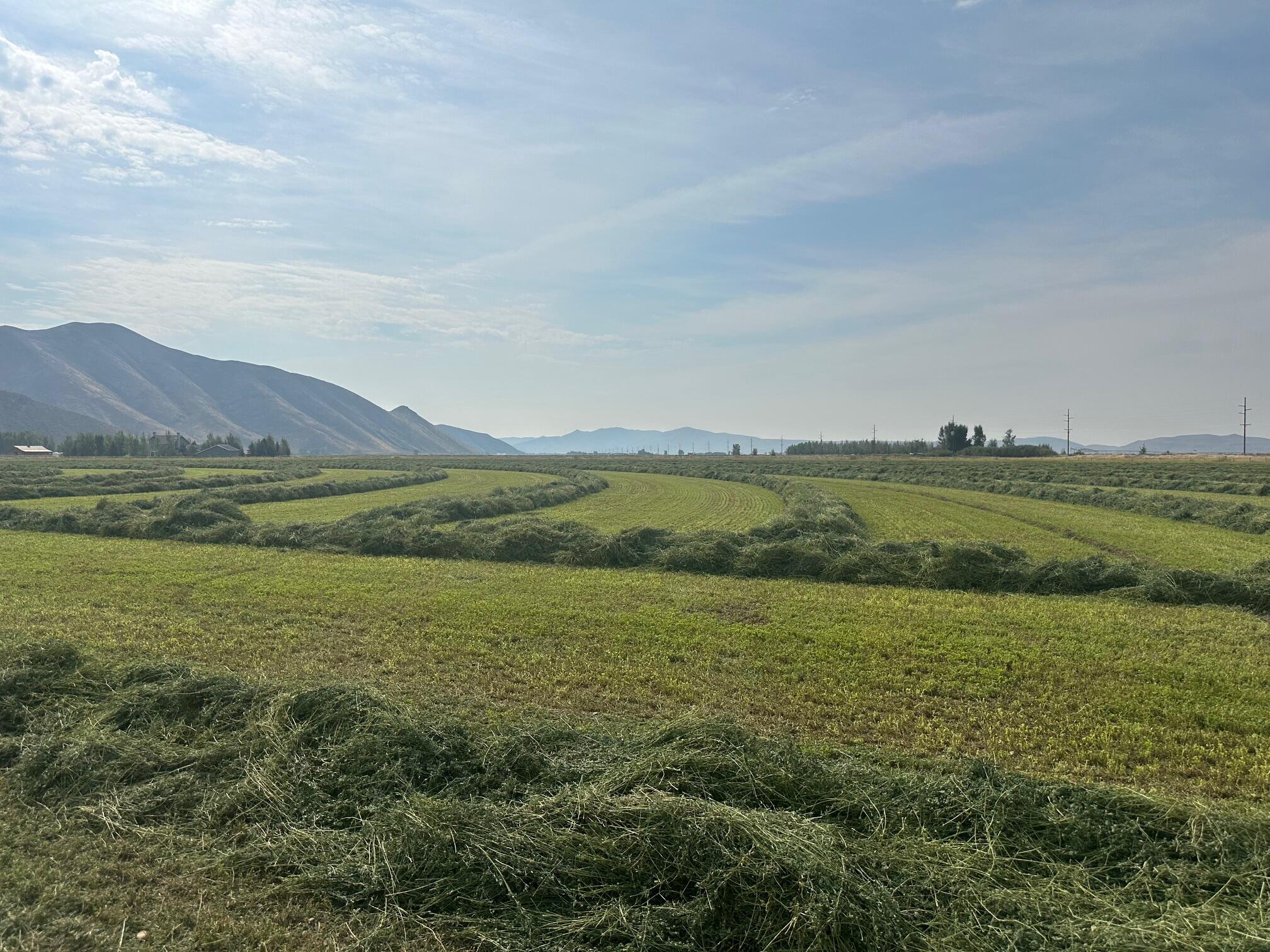 400 Malcolm Lane Property Photo 13