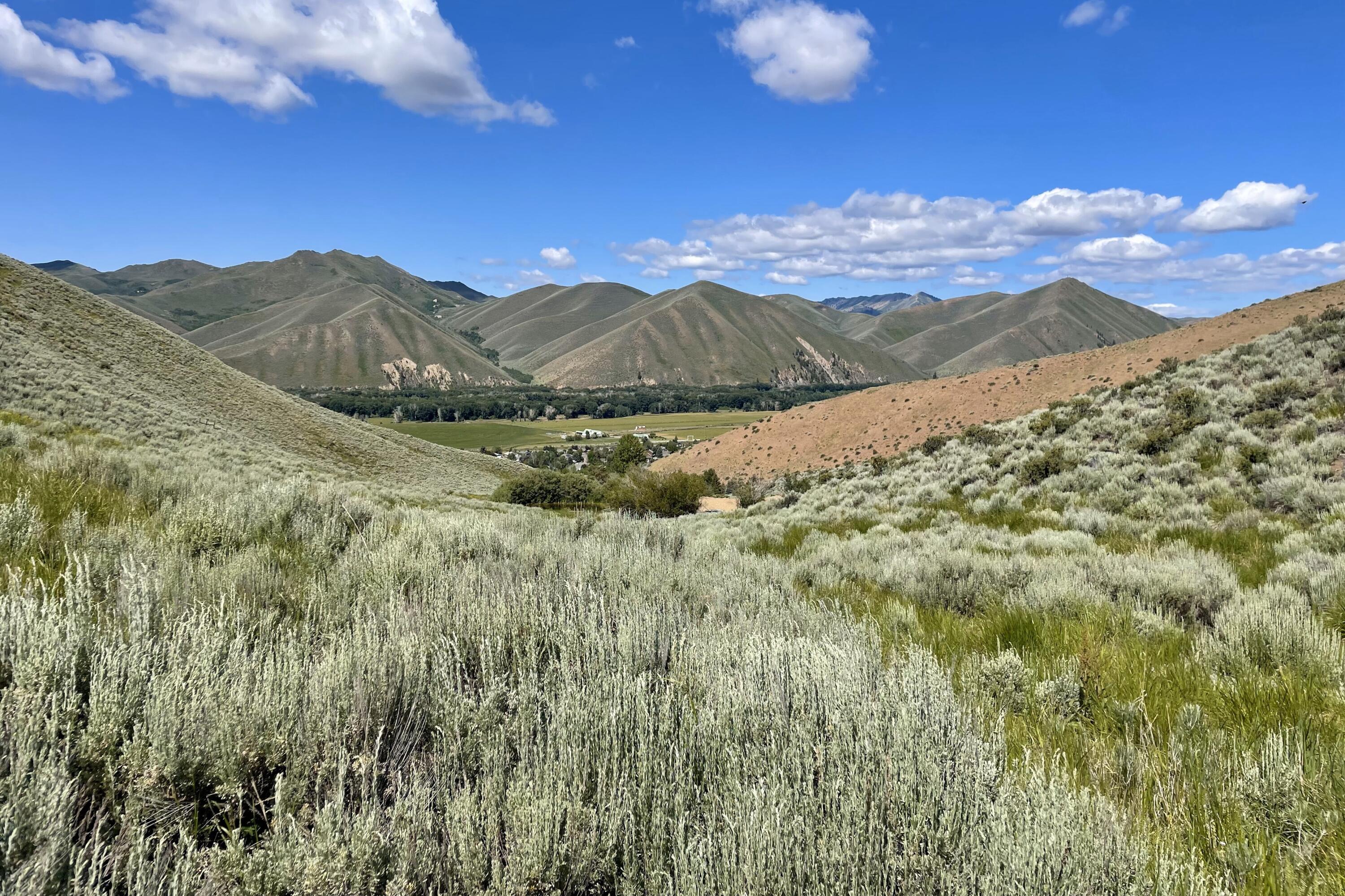 100 Water Gulch Rd Property Photo 1