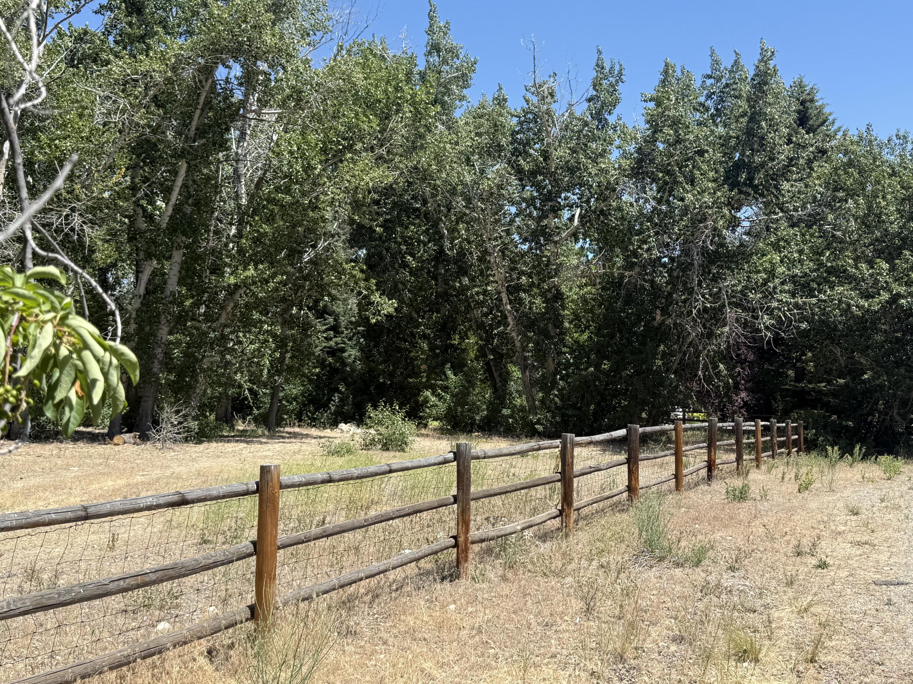 114 Empty Saddle Trl Property Photo 18