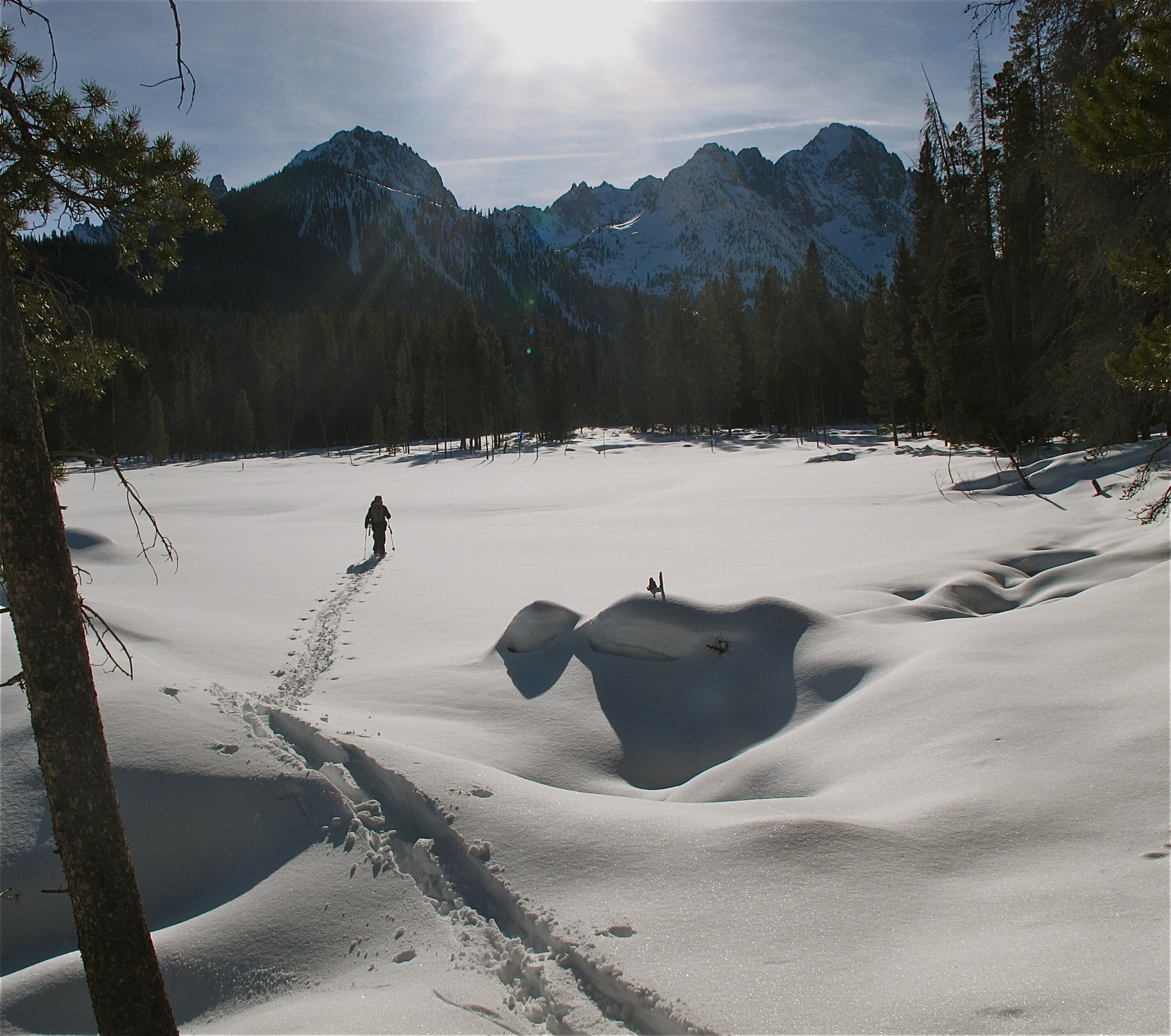 16825 Hwy 75 Property Photo 44