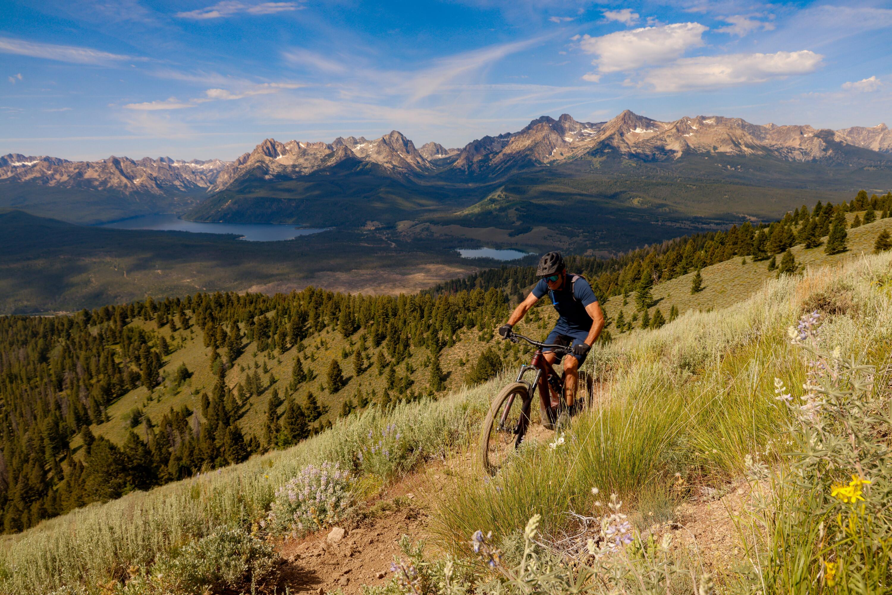 16825 Hwy 75 Property Photo 46