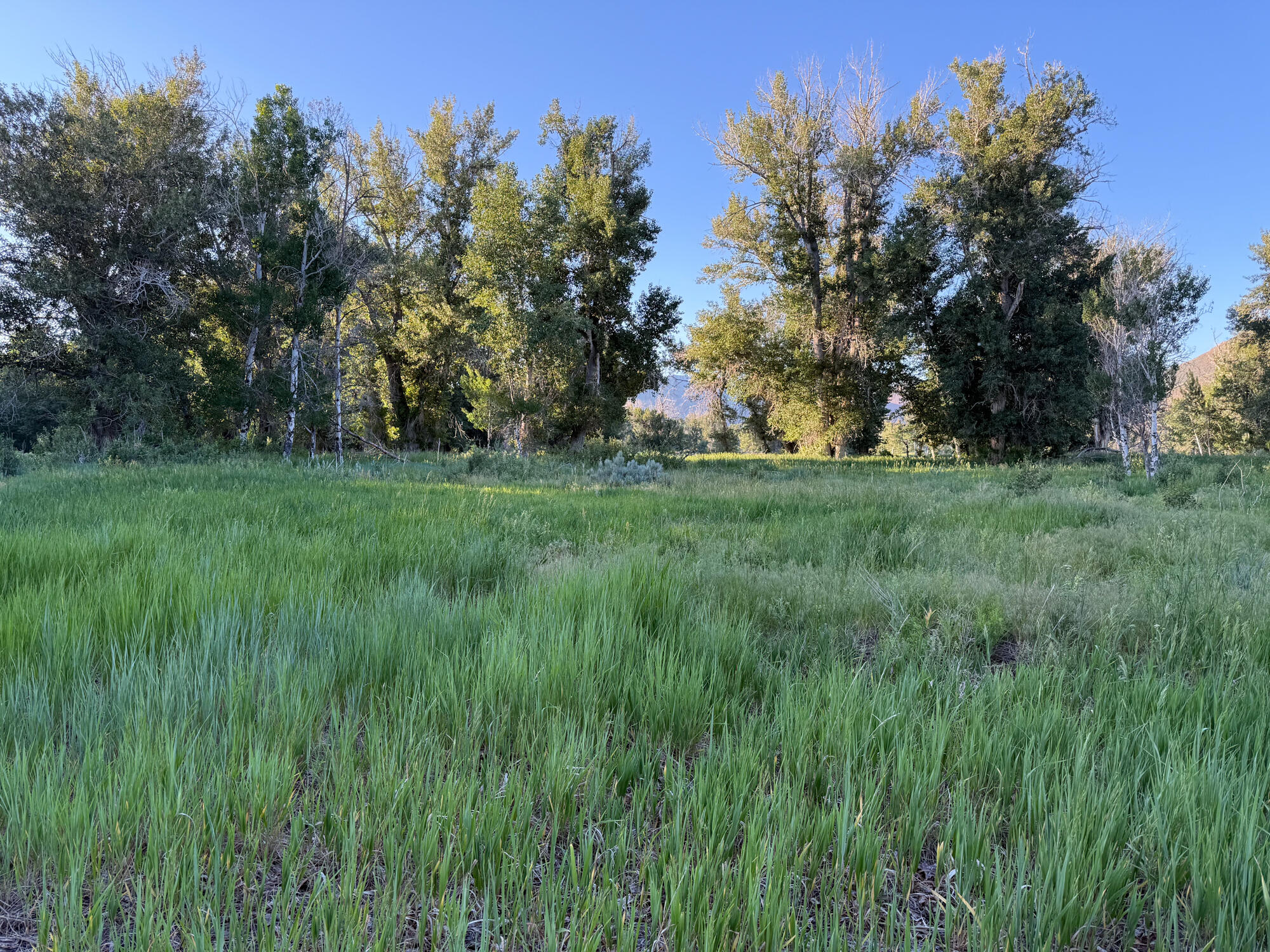 State Hwy 75 Property Photo 20