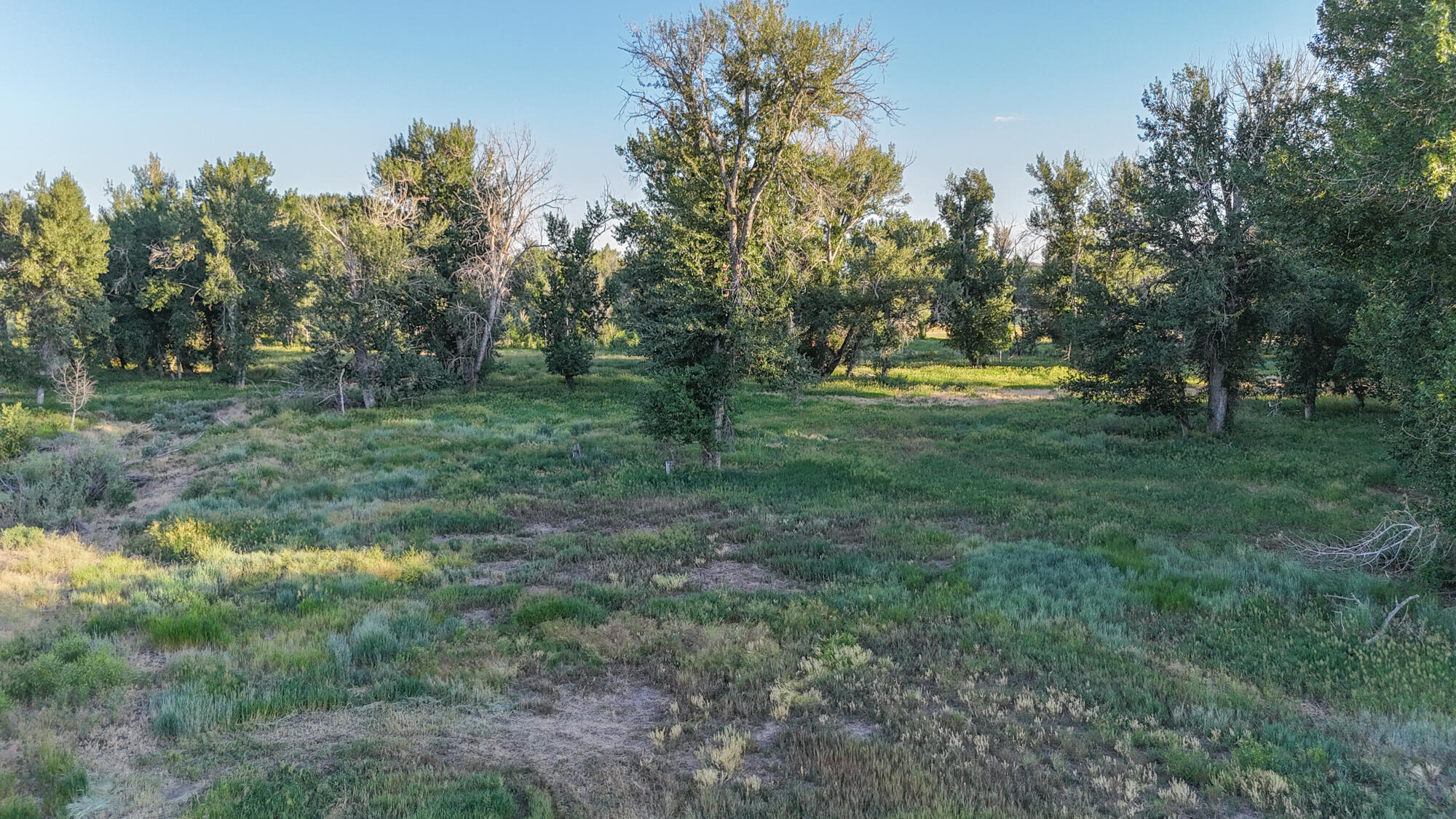 State Hwy 75 Property Photo 34