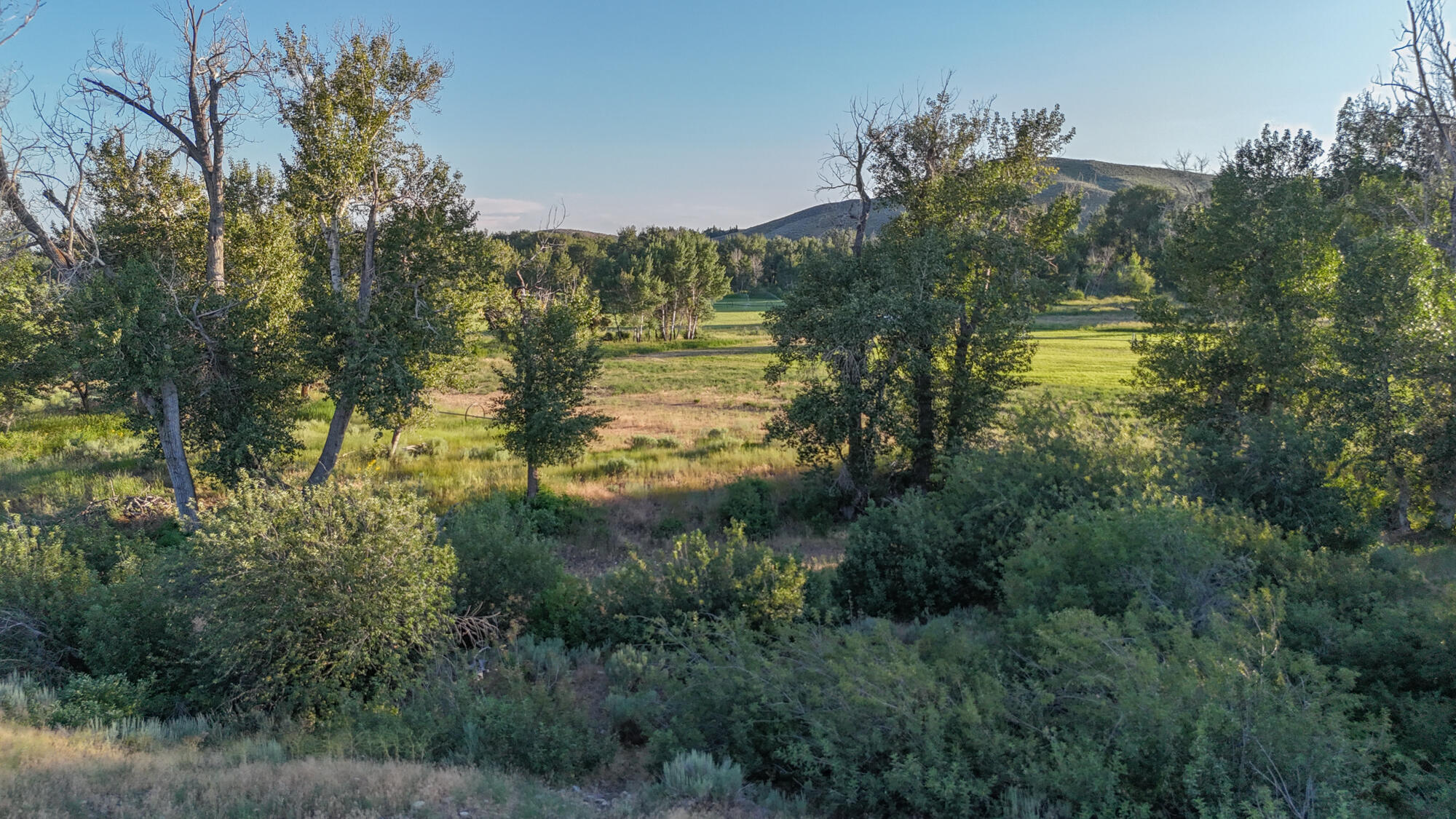 State Hwy 75 Property Photo 35