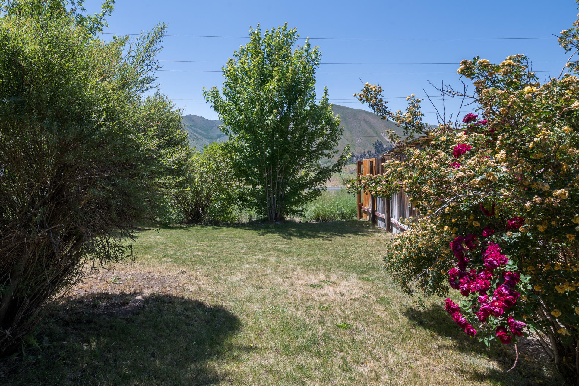2951 Glenbrook Dr Property Photo 18