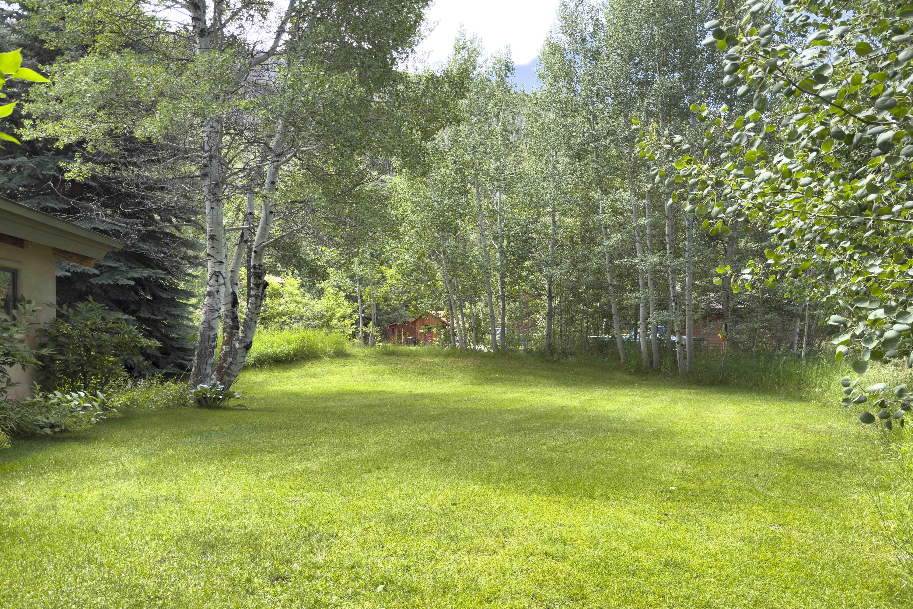 133 Board Loop Property Photo 20