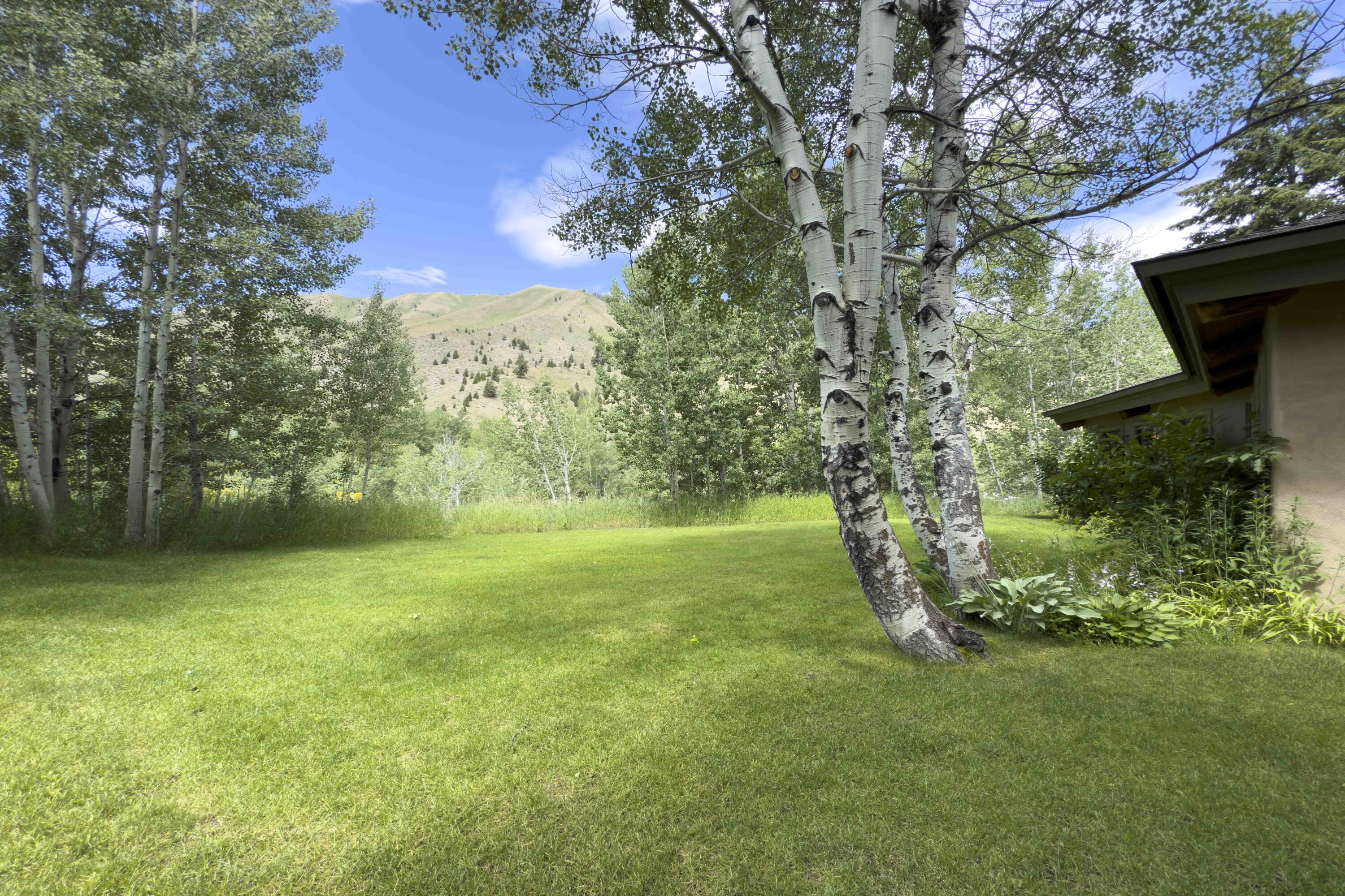 133 Board Loop Property Photo 21