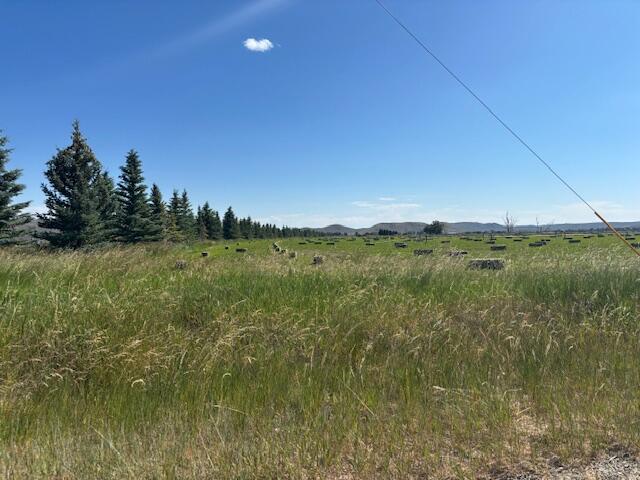 10410 State Highway 75 Property Photo 1
