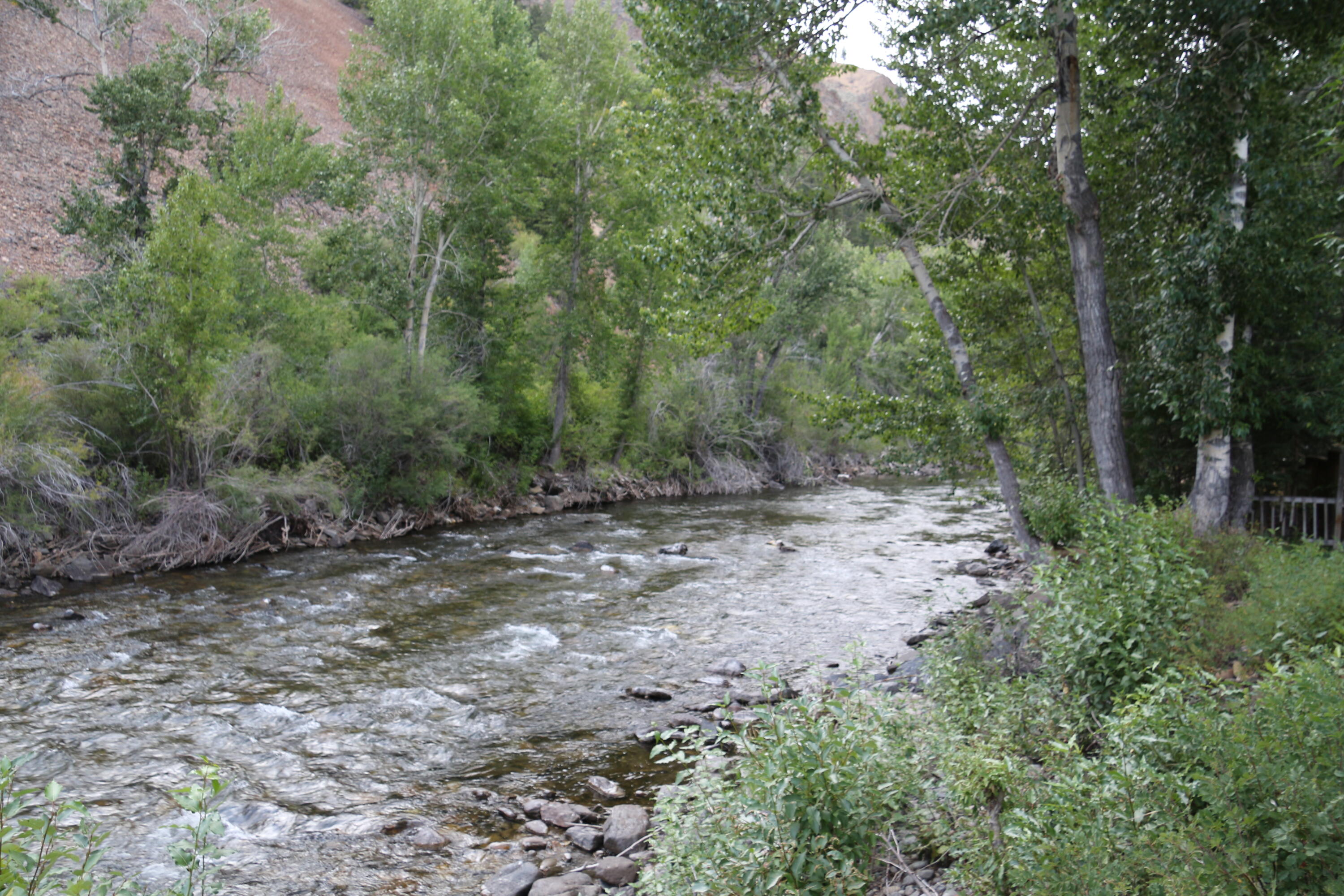 650 River Trl Property Photo 26