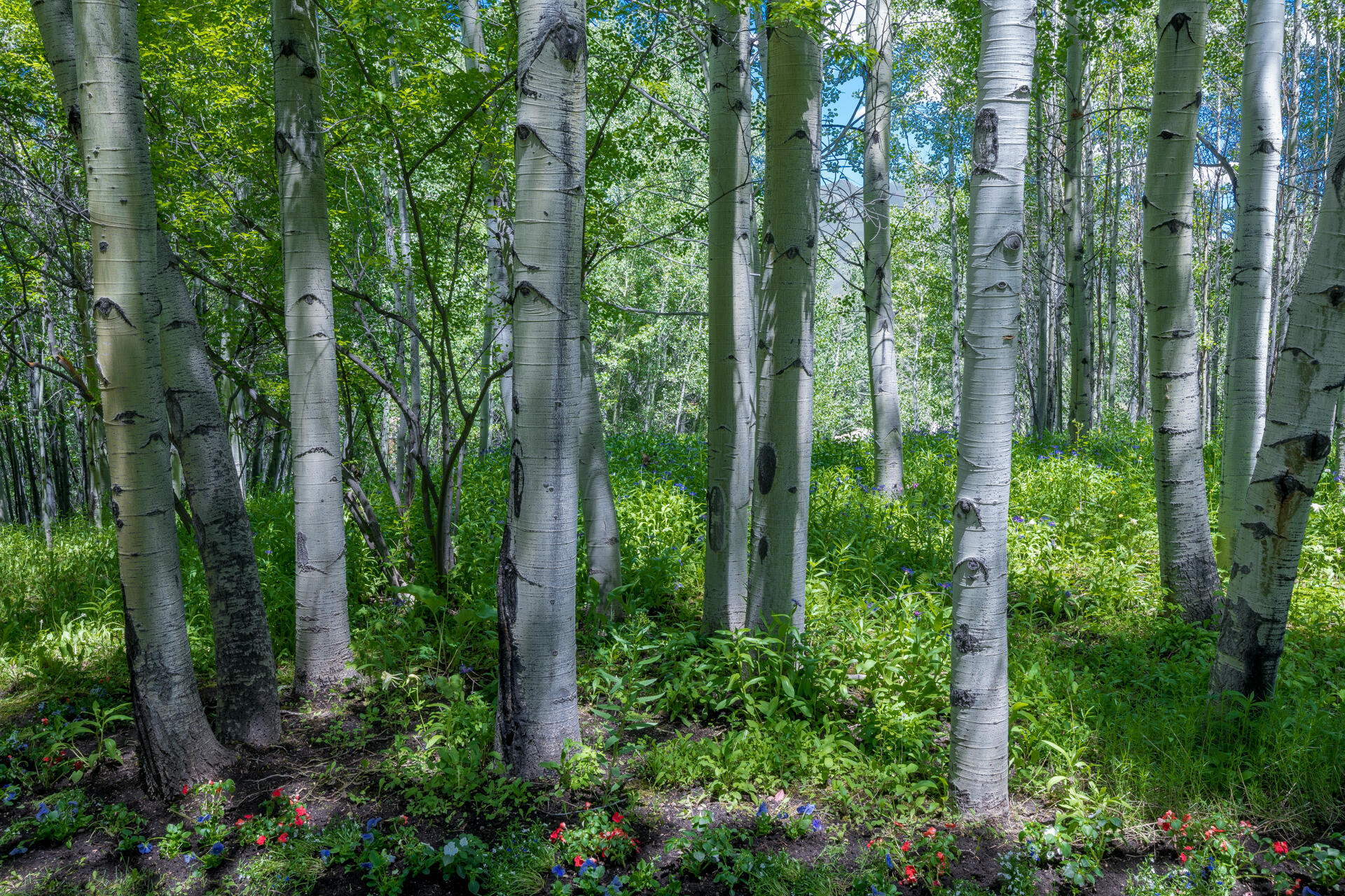 204 Big Wells Rd Property Photo 18