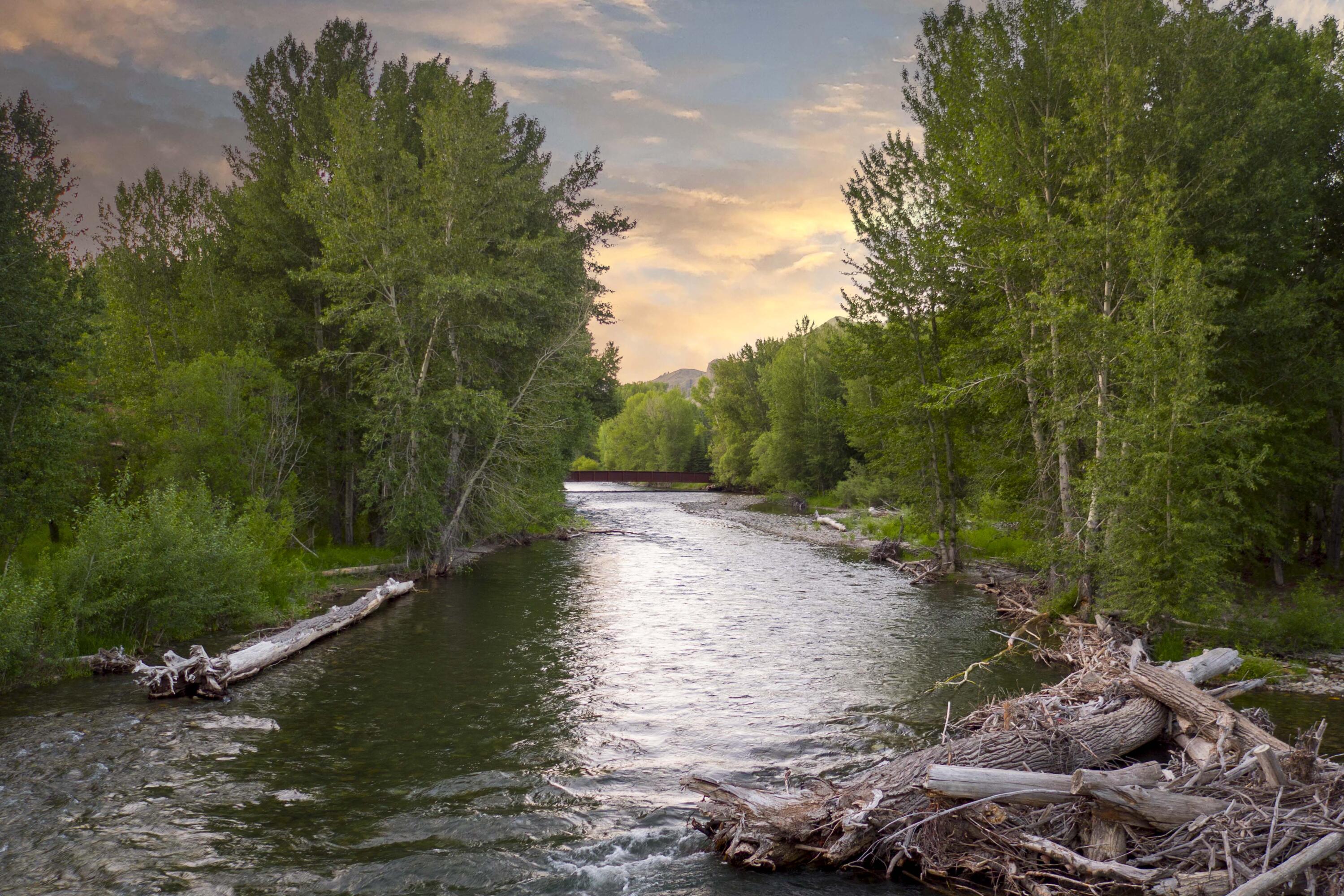 30 Gimlet Rd Property Photo 43