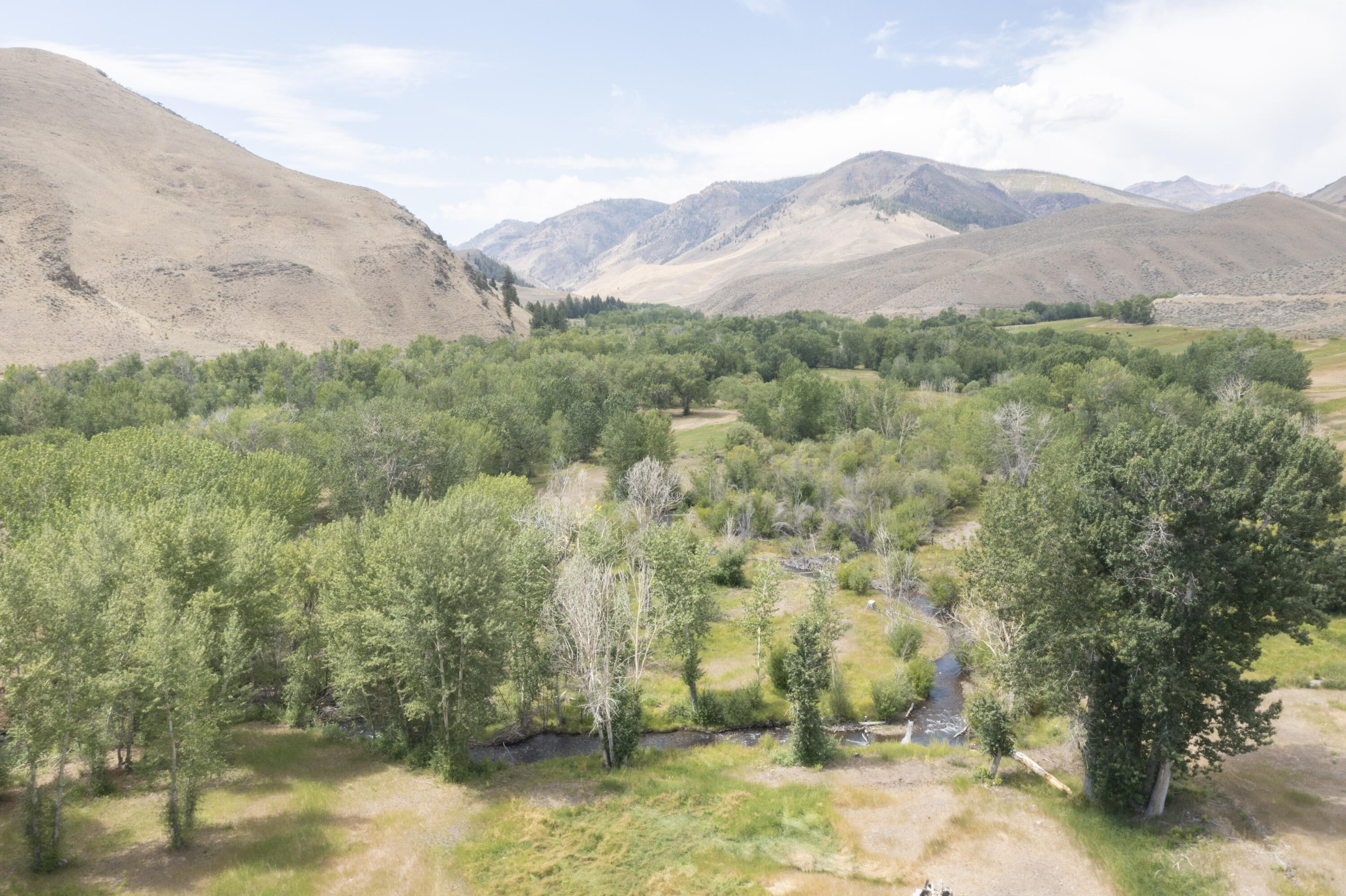 9885 Challis Creek Rd Property Photo 6