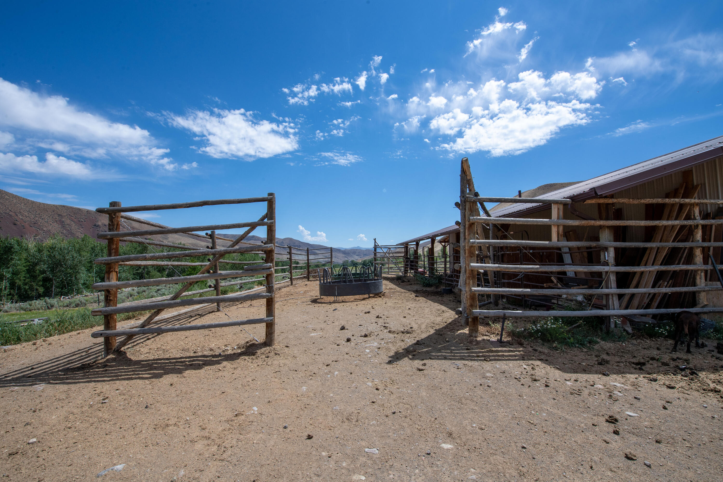 9885 Challis Creek Rd Property Photo 40