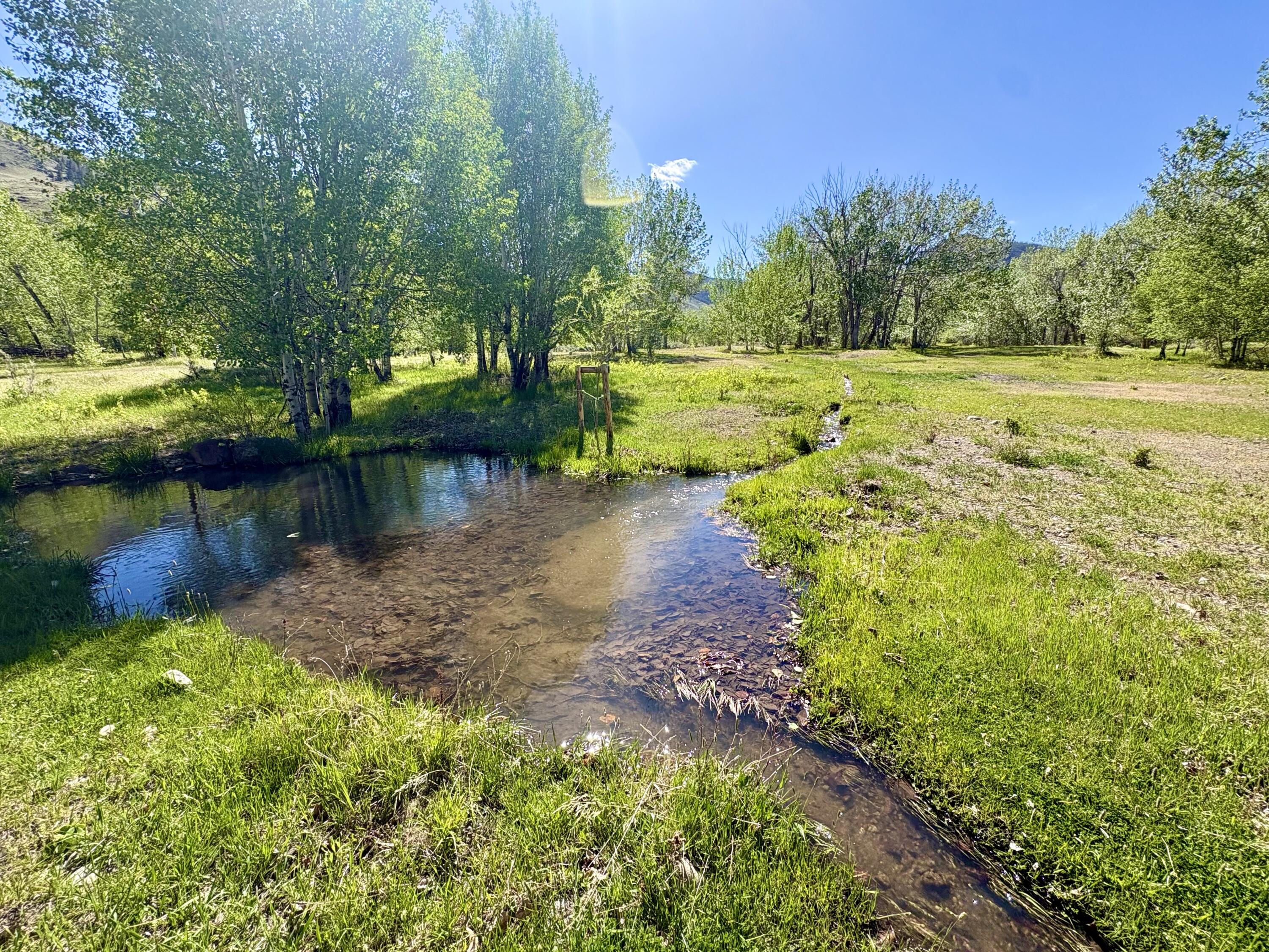 9885 Challis Creek Rd Property Photo 55