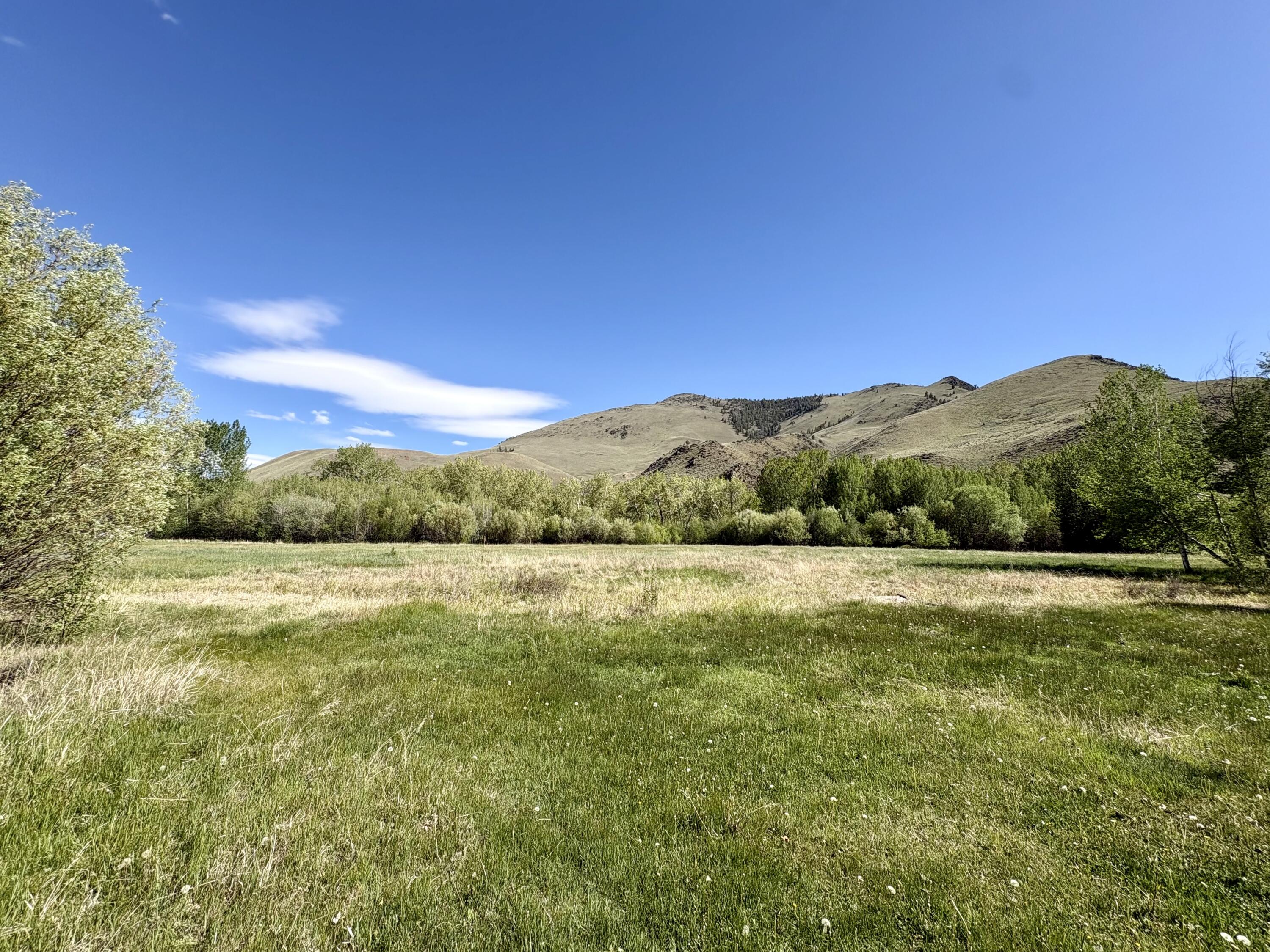 9885 Challis Creek Rd Property Photo 56