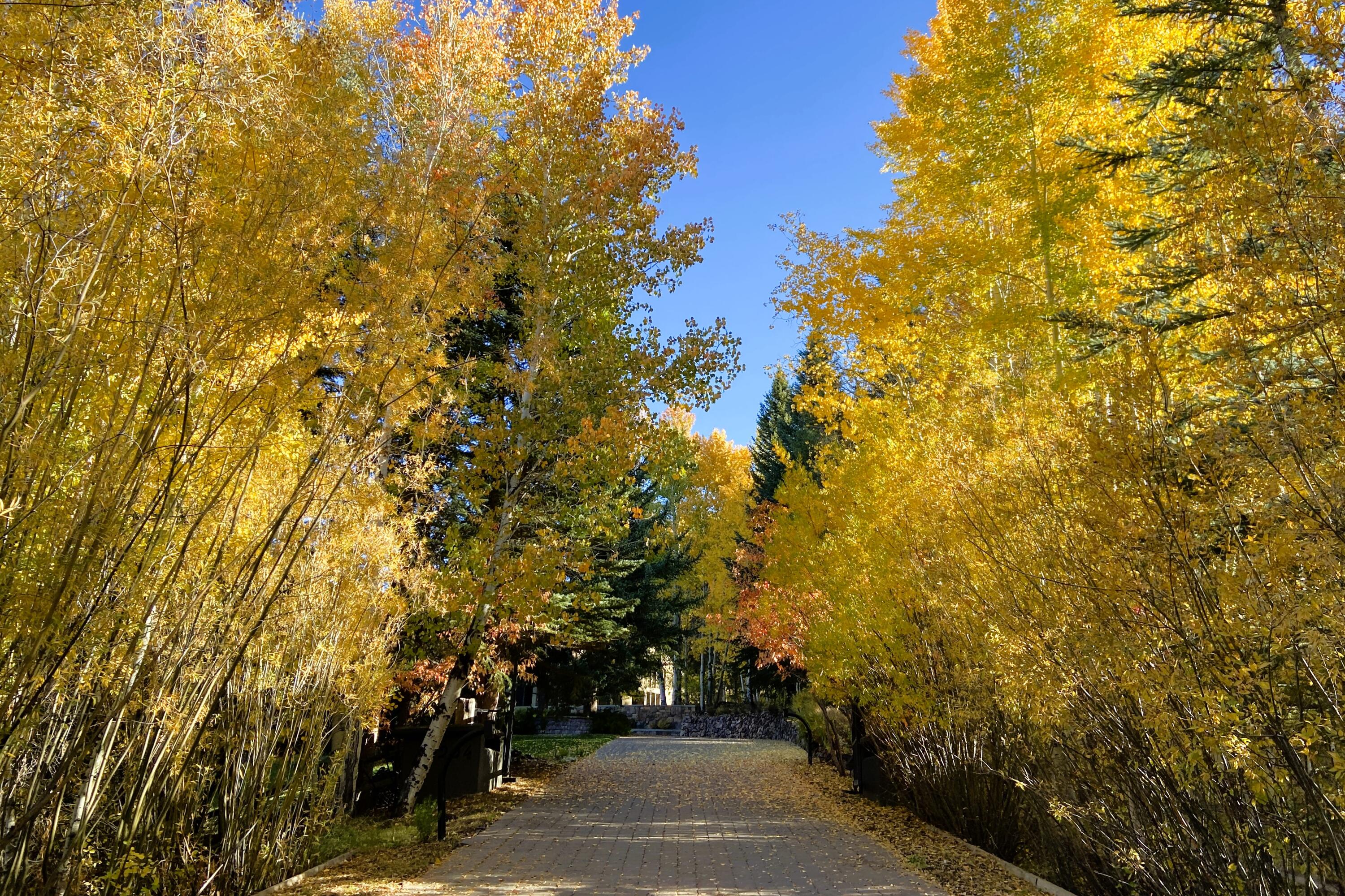 204 Big Wells Rd Property Photo 4