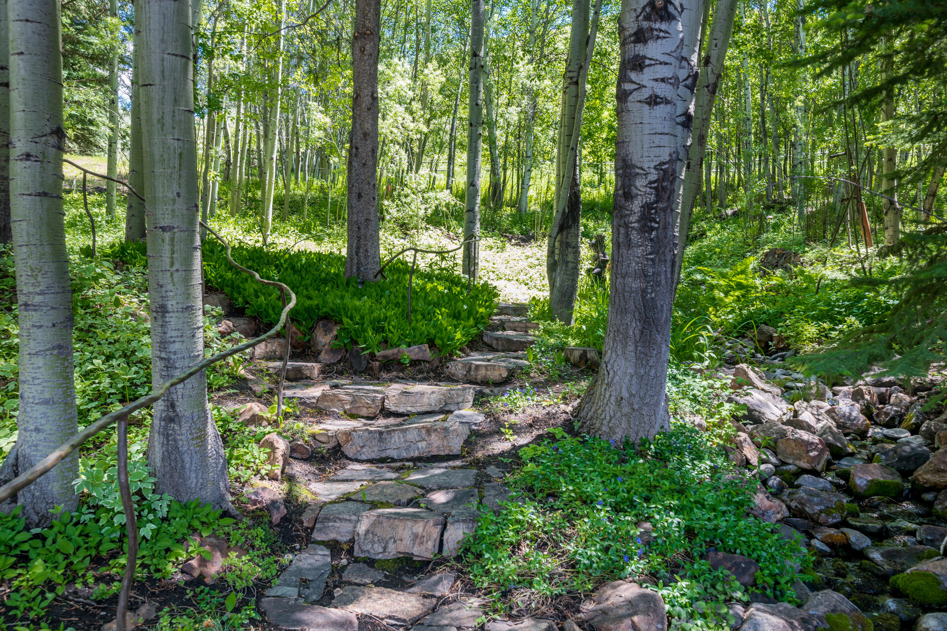 204 Big Wells Rd Property Photo 6