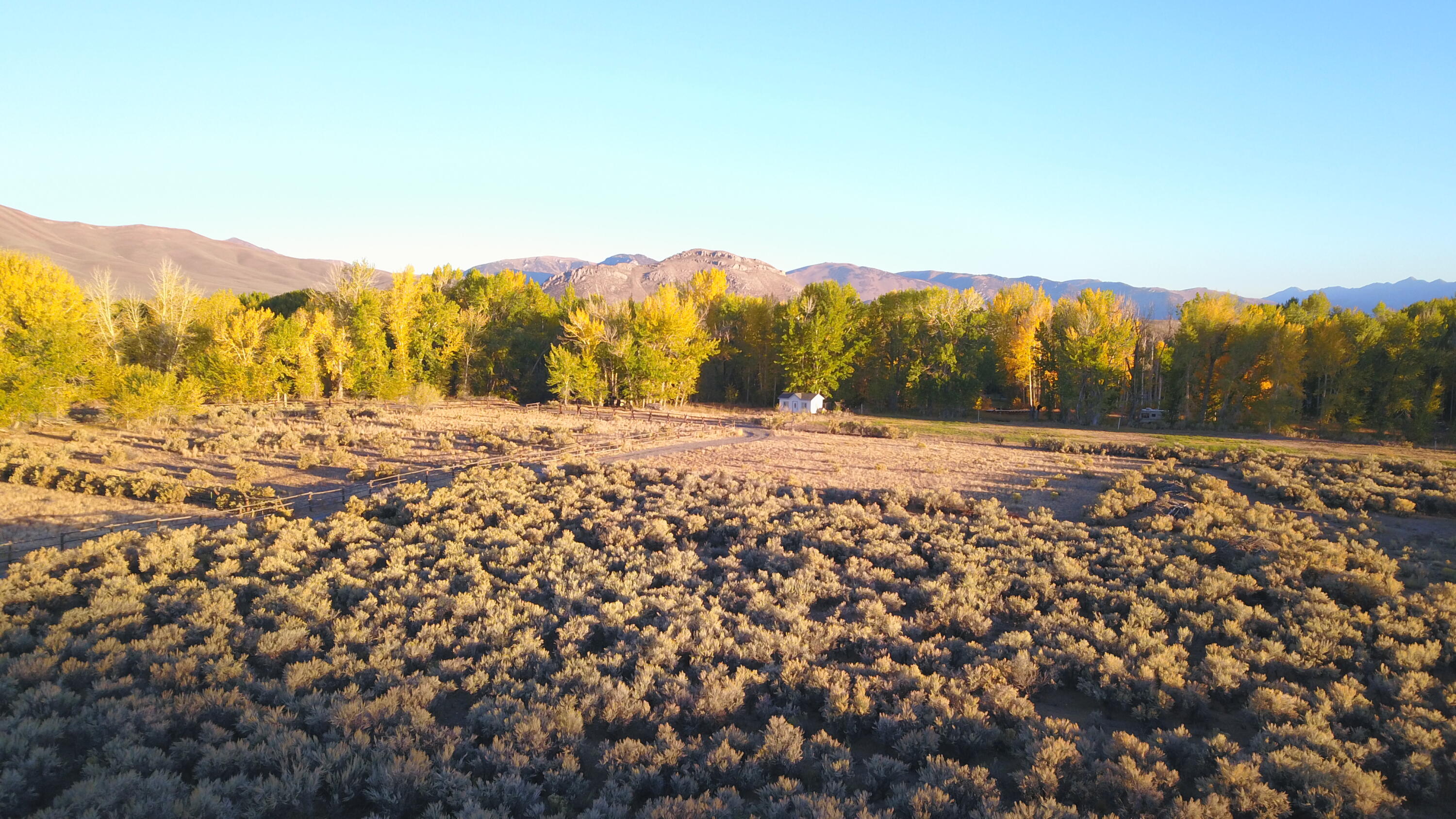 Bartlett Point Rd. Property Photo 16